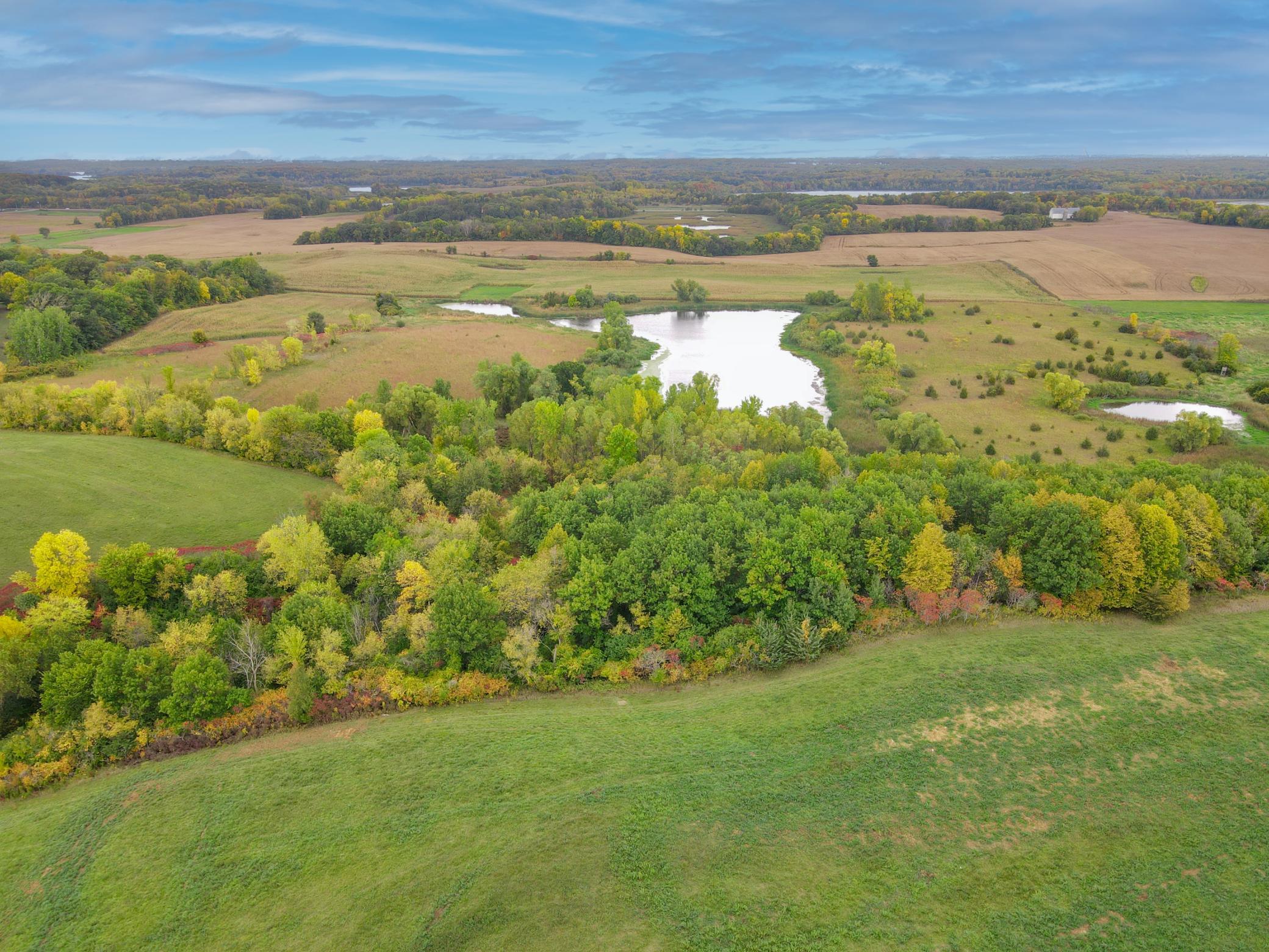 8577 Tellers Road Property Photo 3