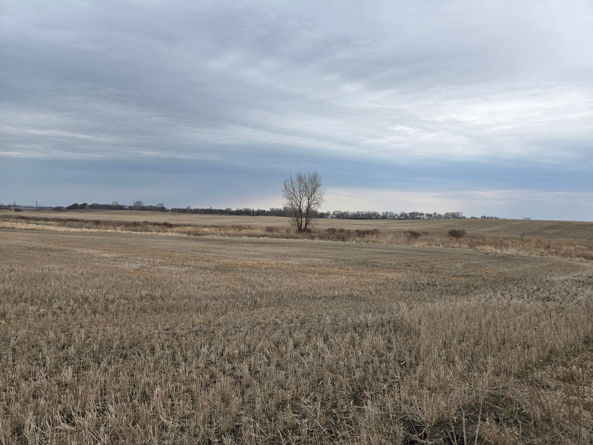(lot B) Tbd 100th Avenue Property Photo 4