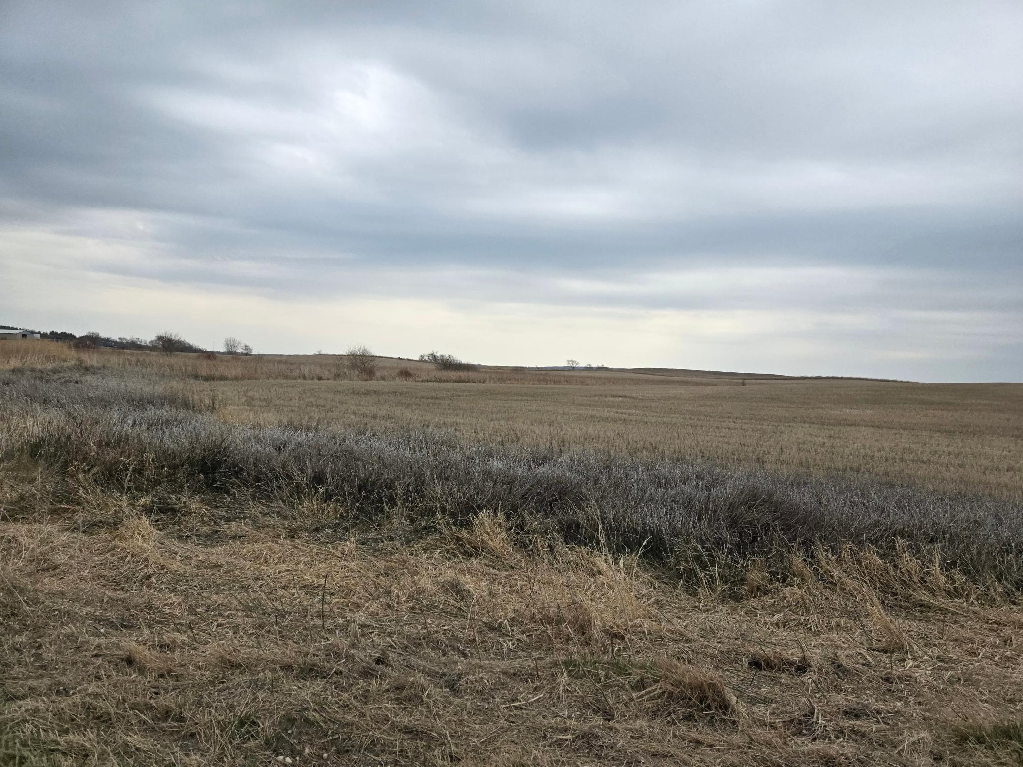 (lot B) Tbd 100th Avenue Property Photo 6