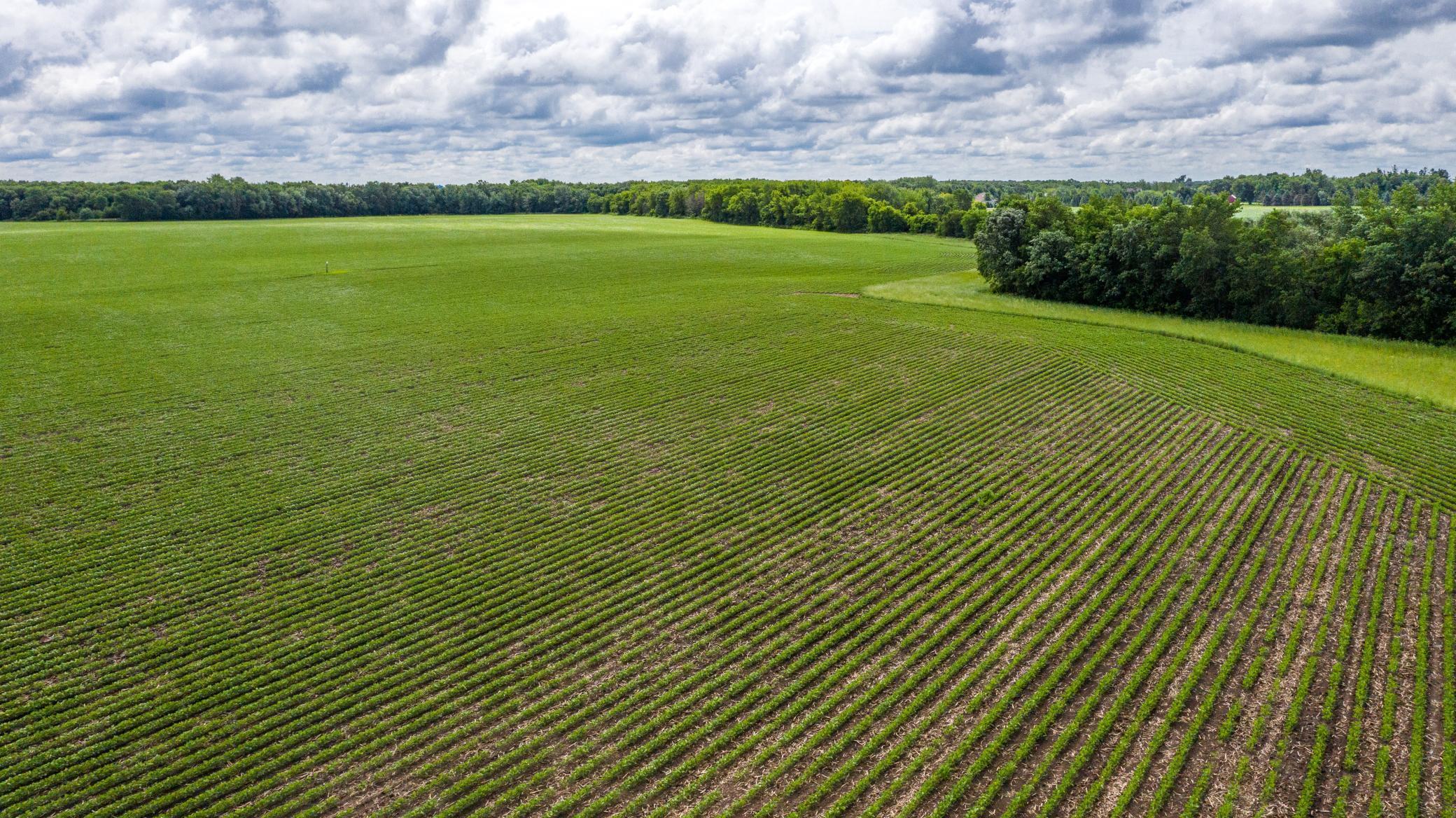 Tbd Mn Highway 30 Property Photo 5