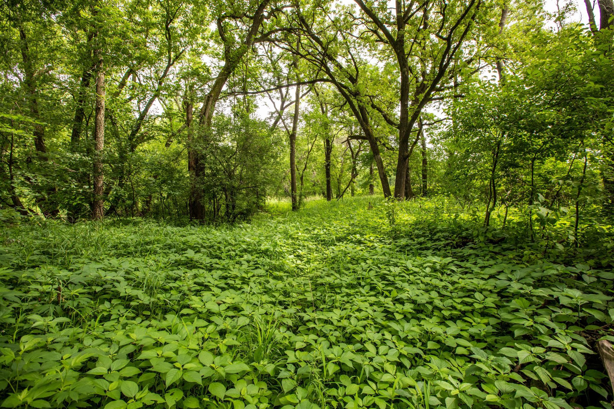 Tbd Mn Highway 30 Property Photo 8