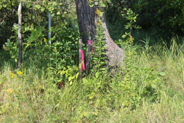 29957 436th Place Property Photo 33