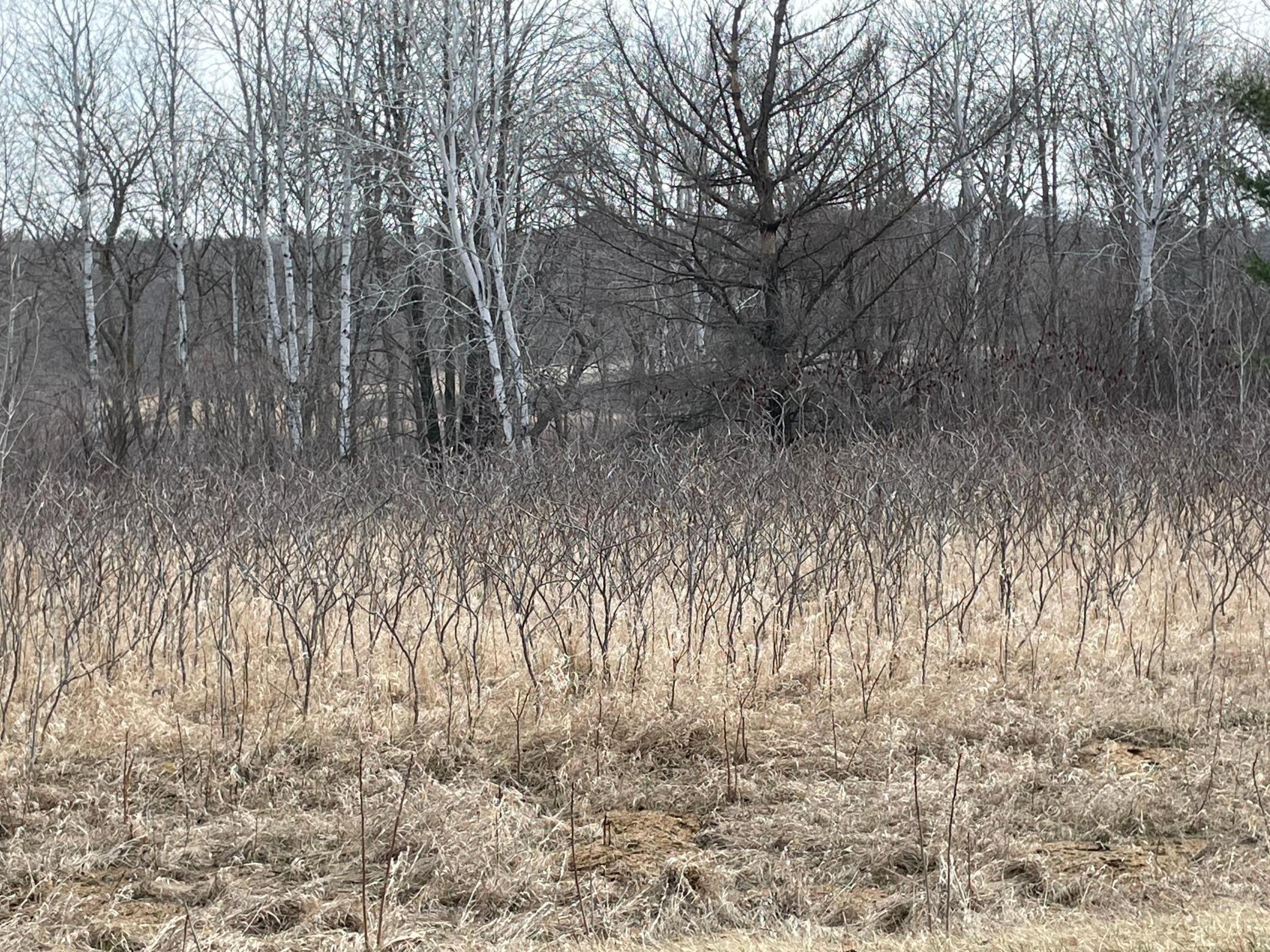 Xxxx Ottawa Drive Property Photo 1
