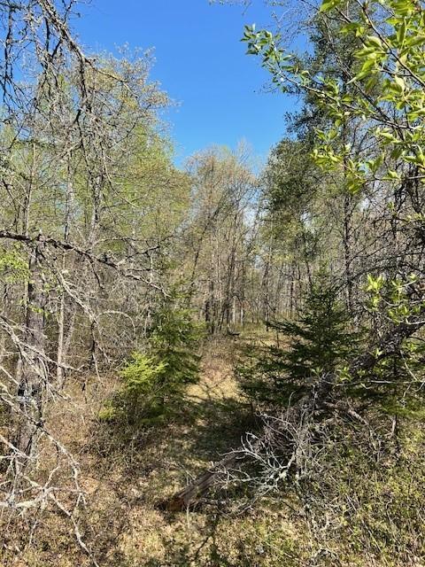 Tbd Mikes Road Property Photo 1