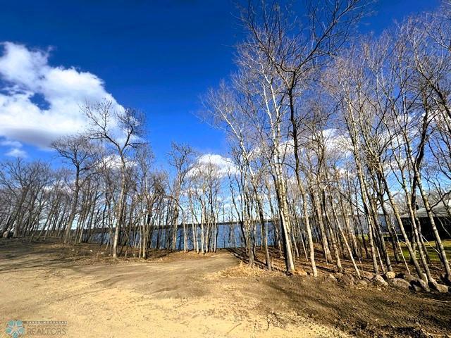 Tract D County Road 112 Property Photo