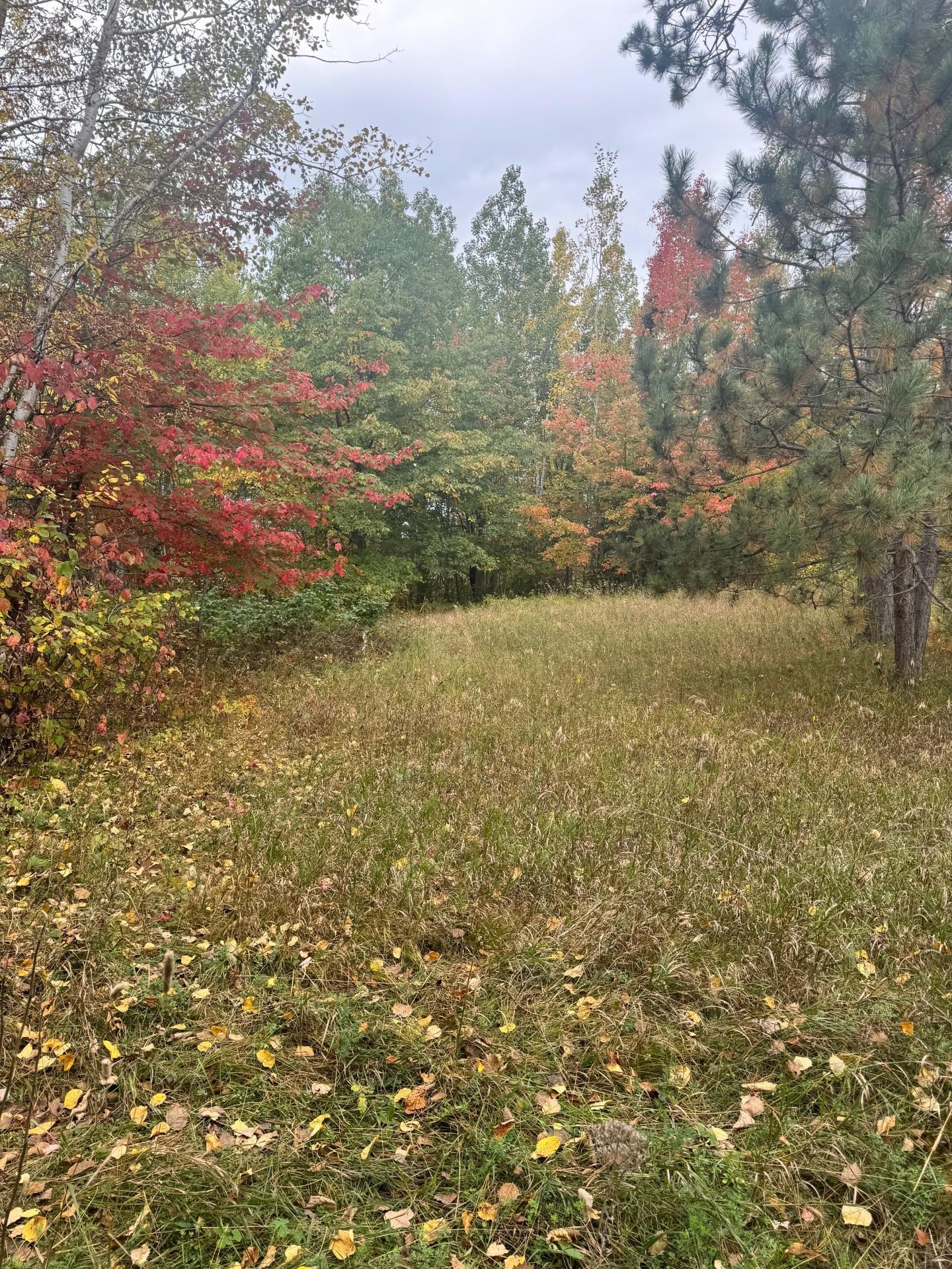 Tbd Pond View Lane Property Photo 1