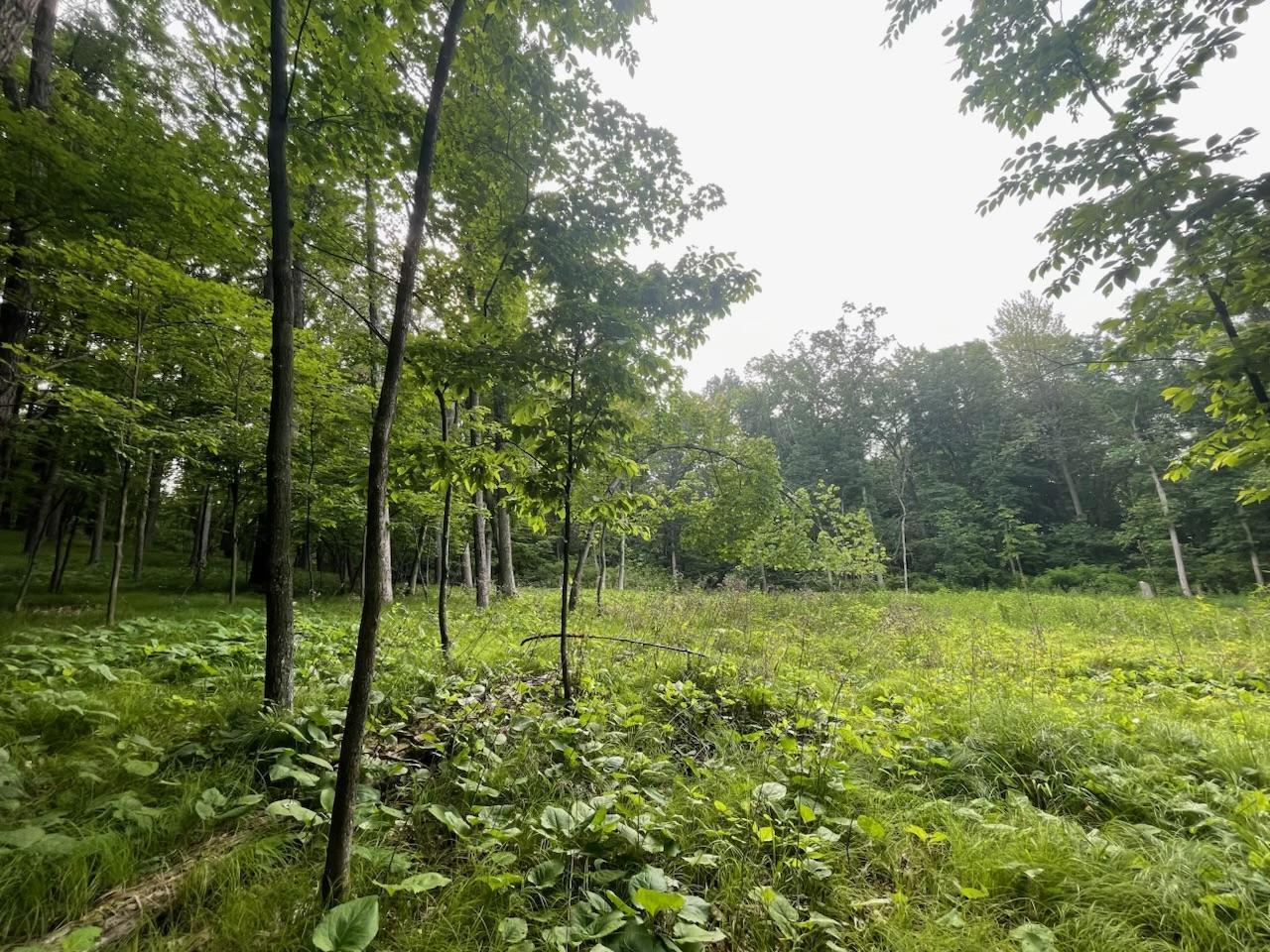 Lot's 4,5 & 6 Anderson Hill Lane