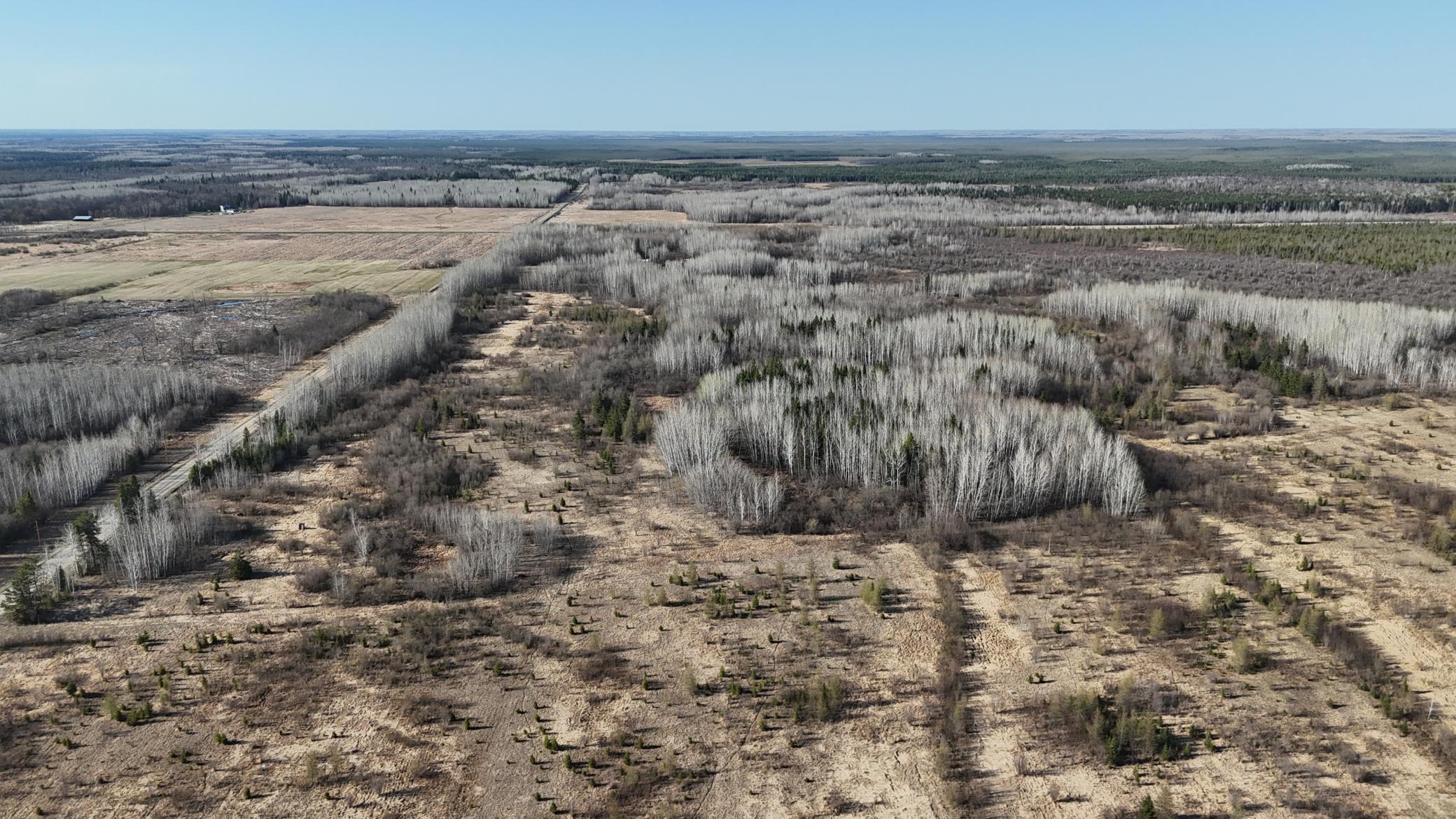 Tbd County Road 14 Property Photo 1