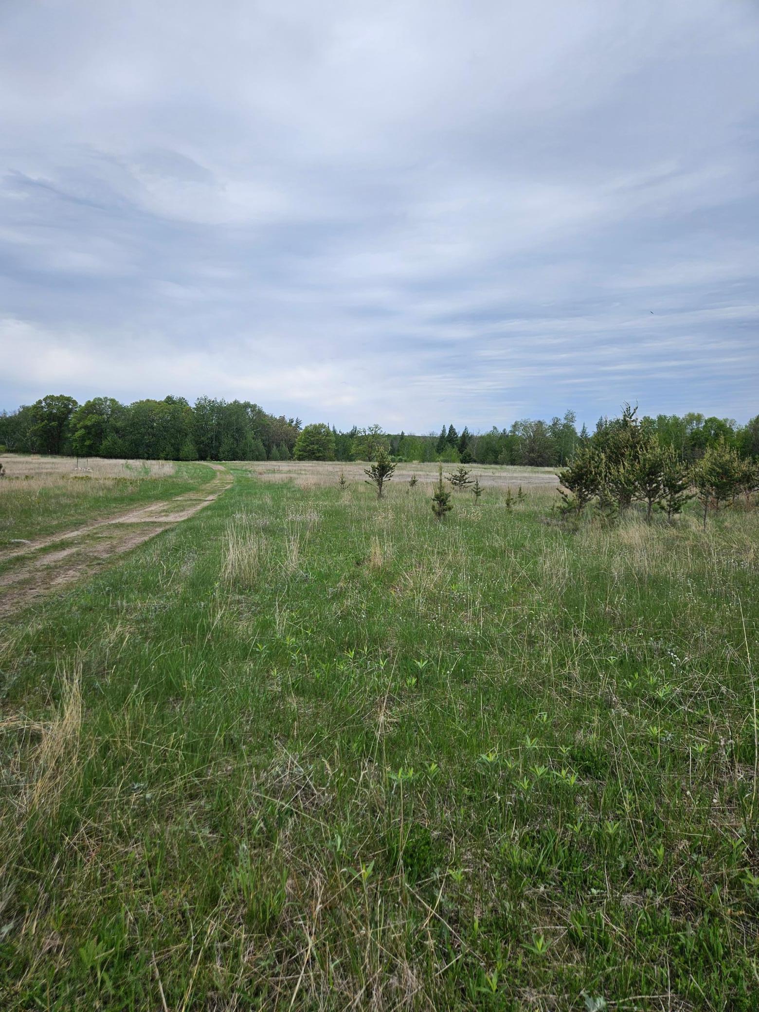 tbd Pillager Creek Trail Property Photo 1