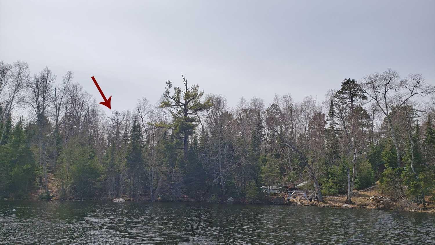 Tbd Muskego Point Property Photo 1