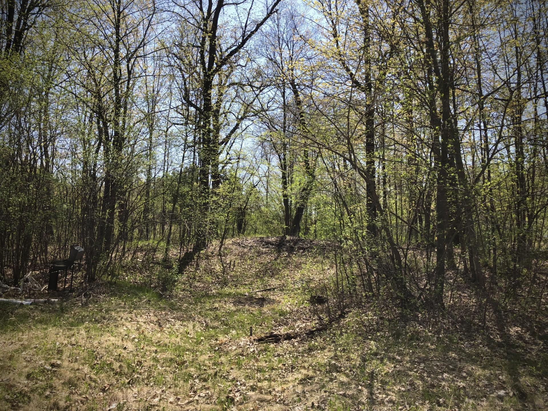 9953 Riverbed Road Property Photo 1