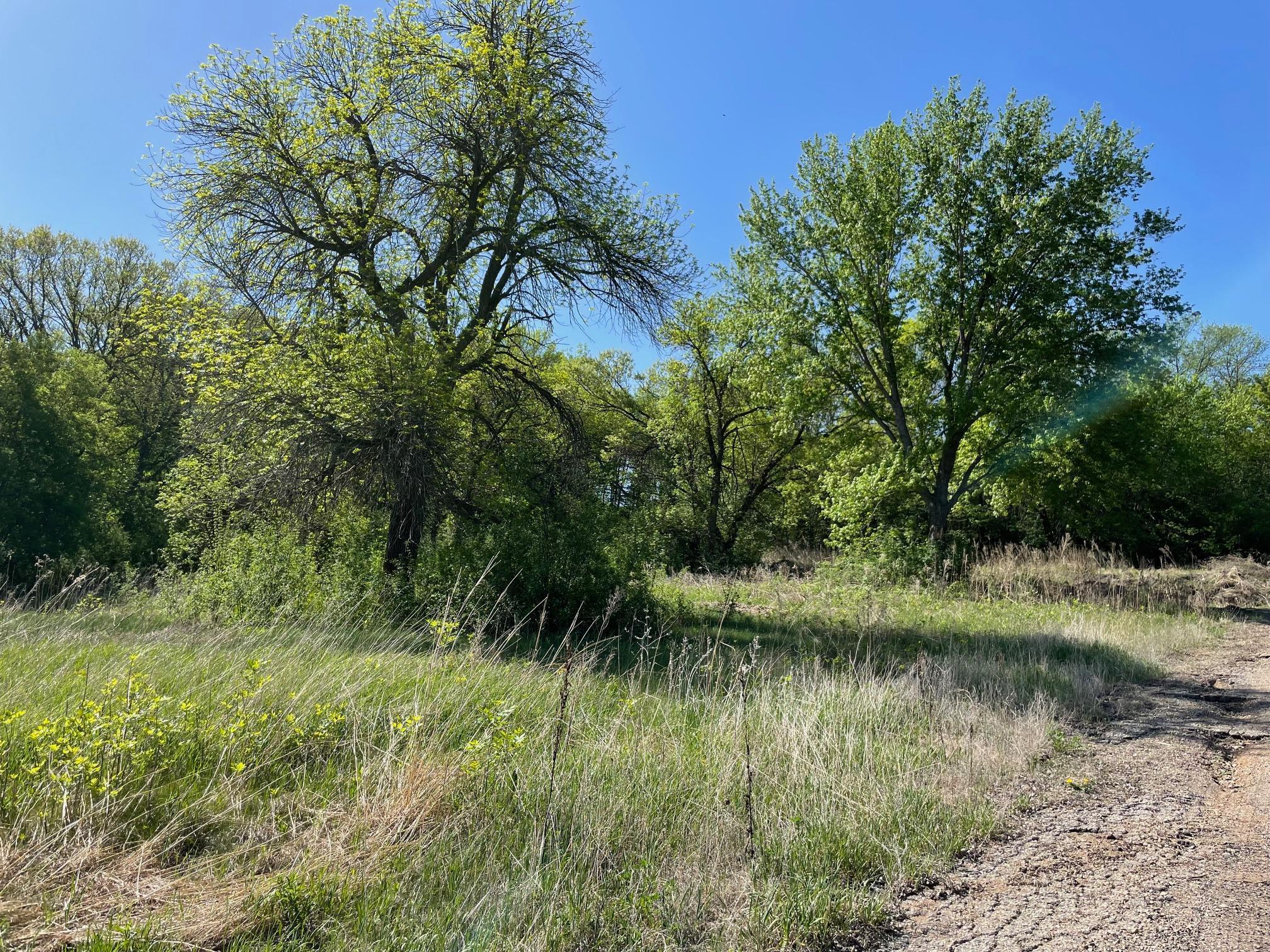 TBD Hwy 212