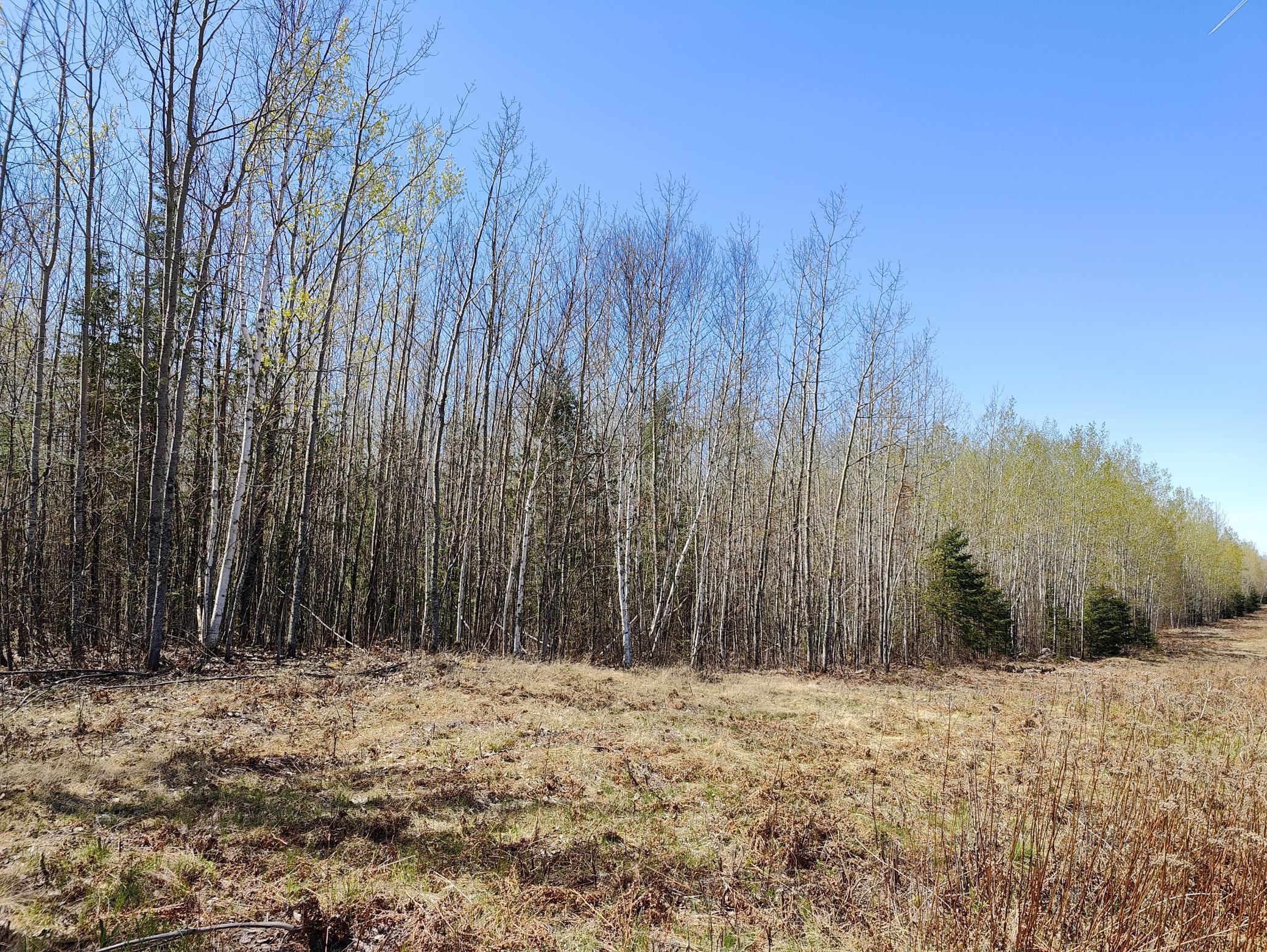 Tbd4 Hwy. 115 Property Photo 1