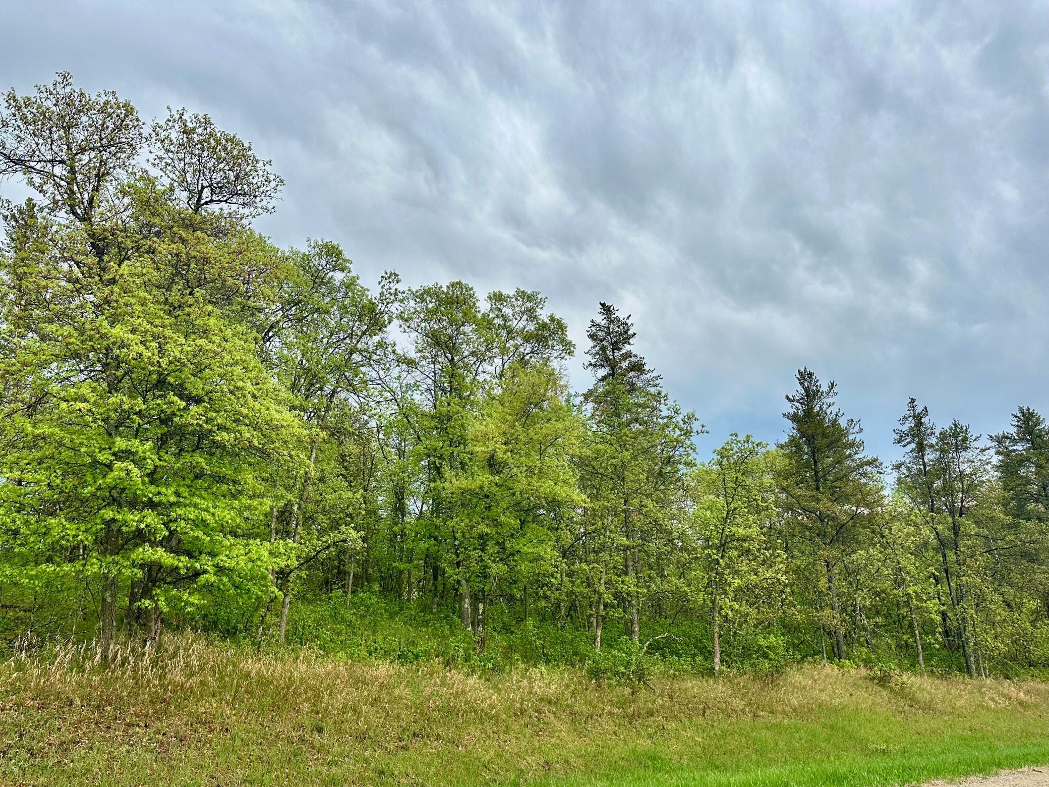 Tbd Lot 1 Fairway Trail Property Photo 1