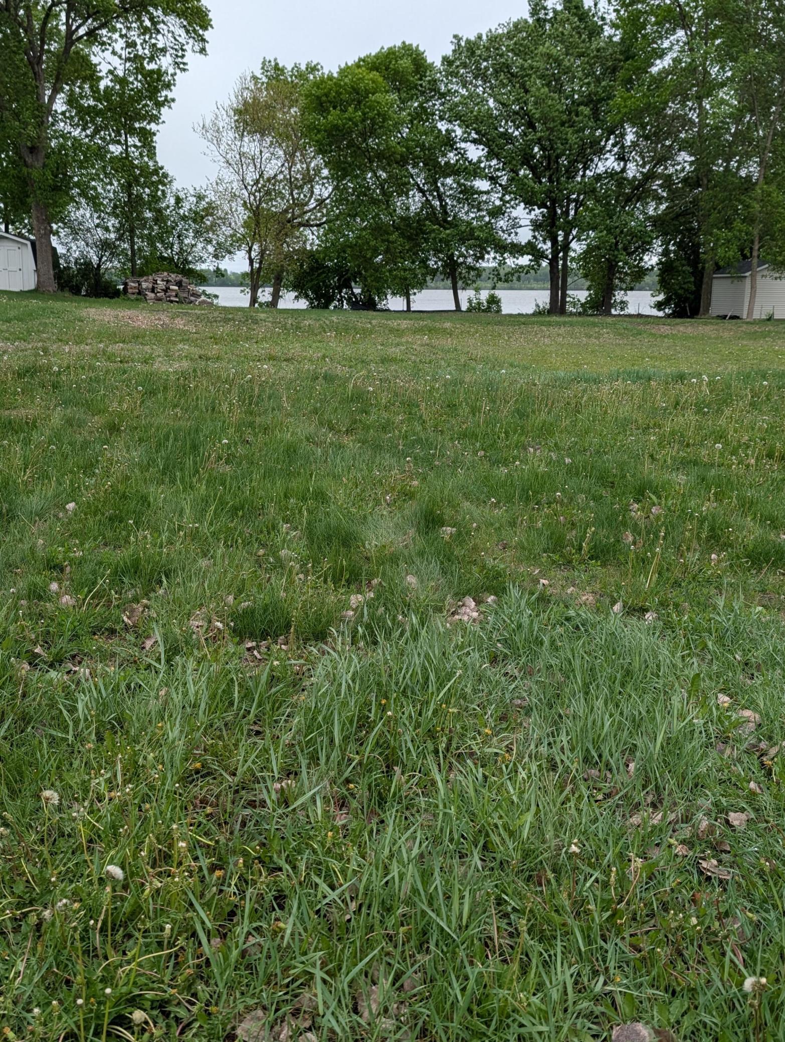 2101 Country Club Drive Ne Property Photo 4