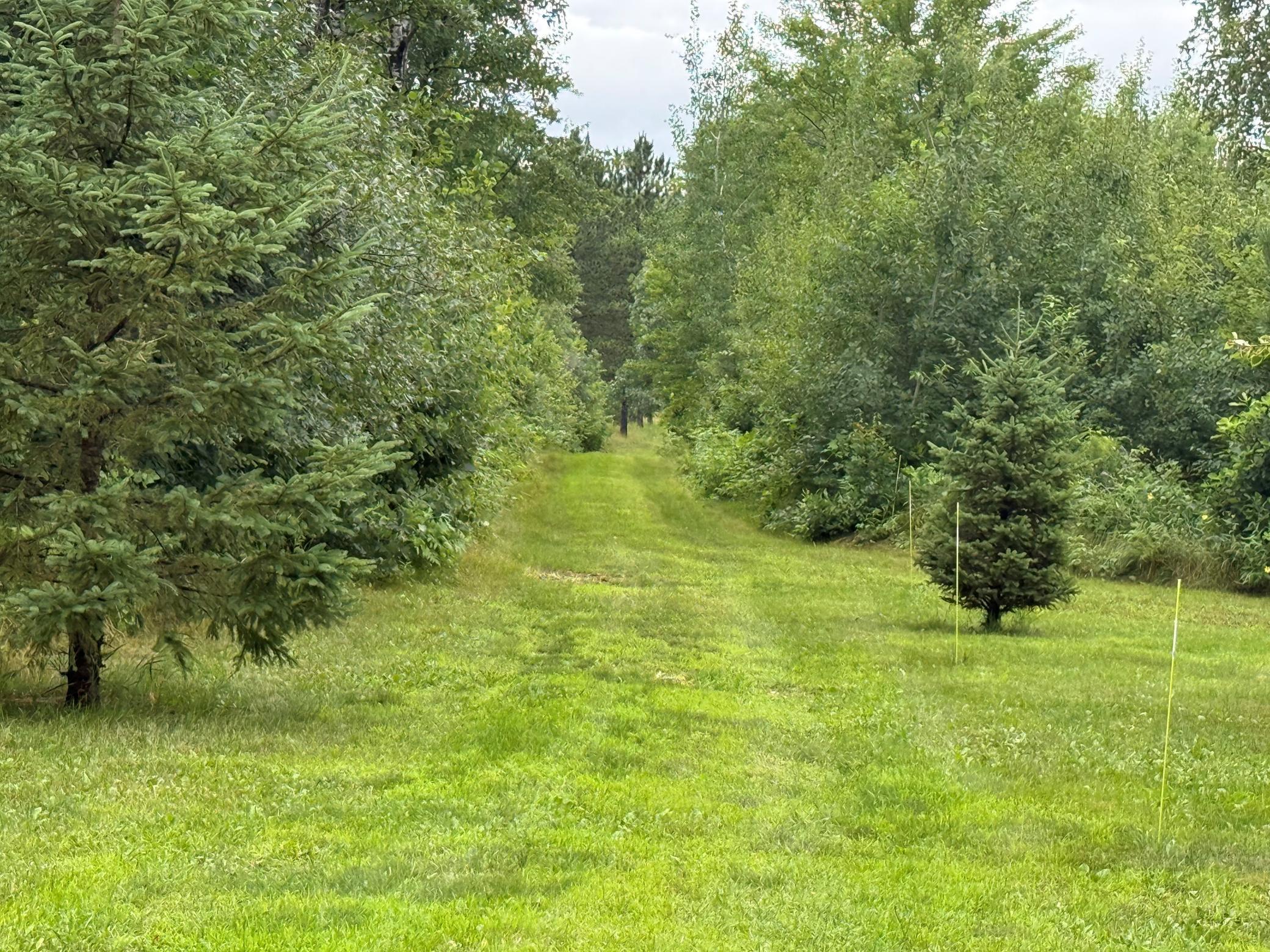 11.5 Acre Lot Nagel Road Property Photo 1