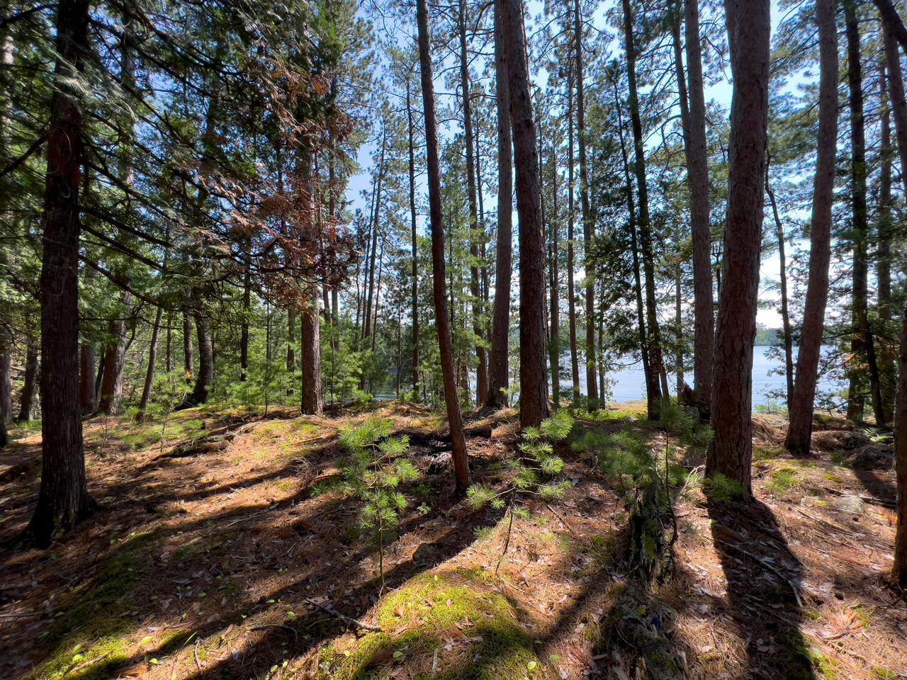 X Waters Island Property Photo 41