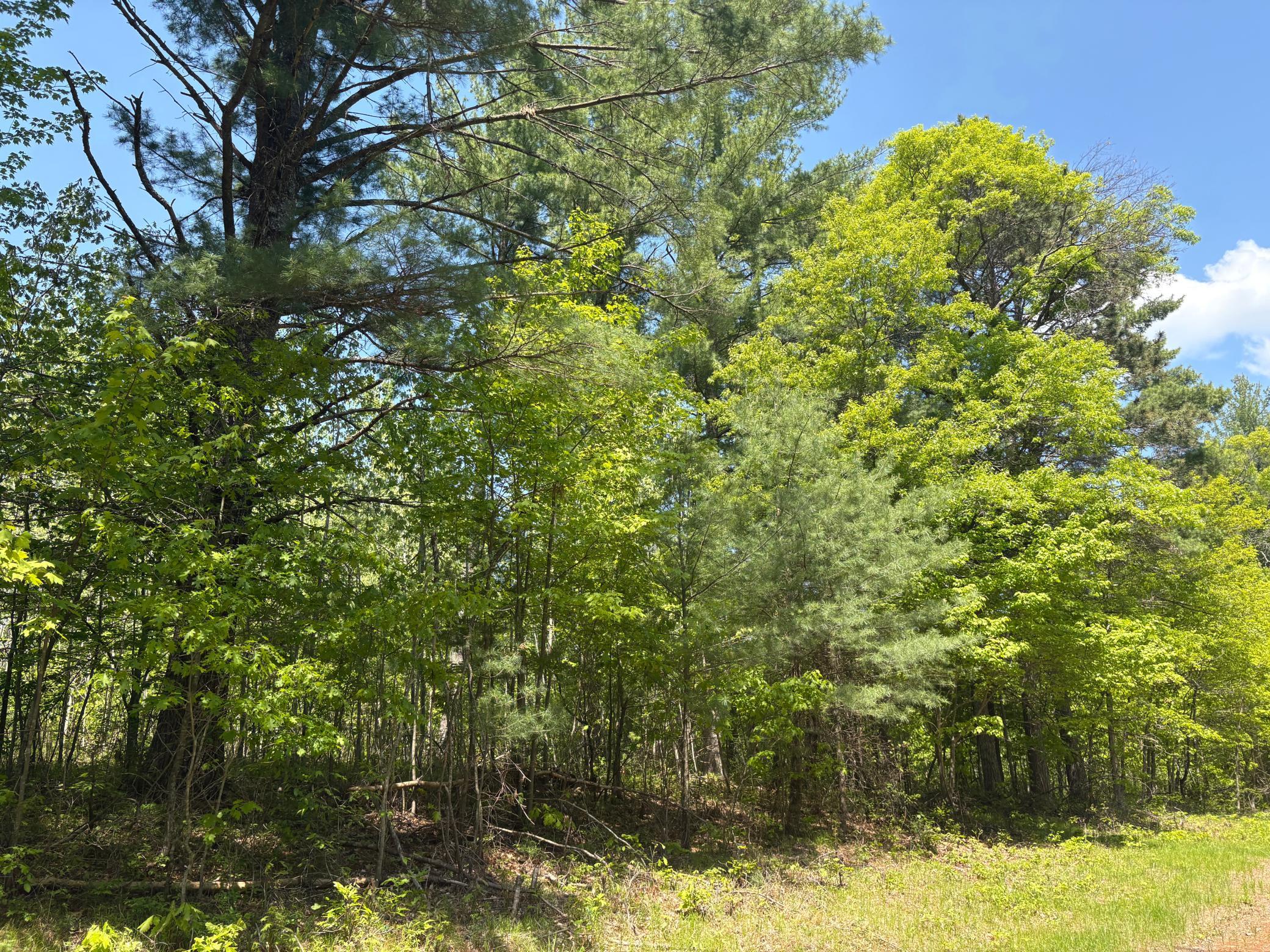 Xxxxx Eagle Drive Property Photo 4