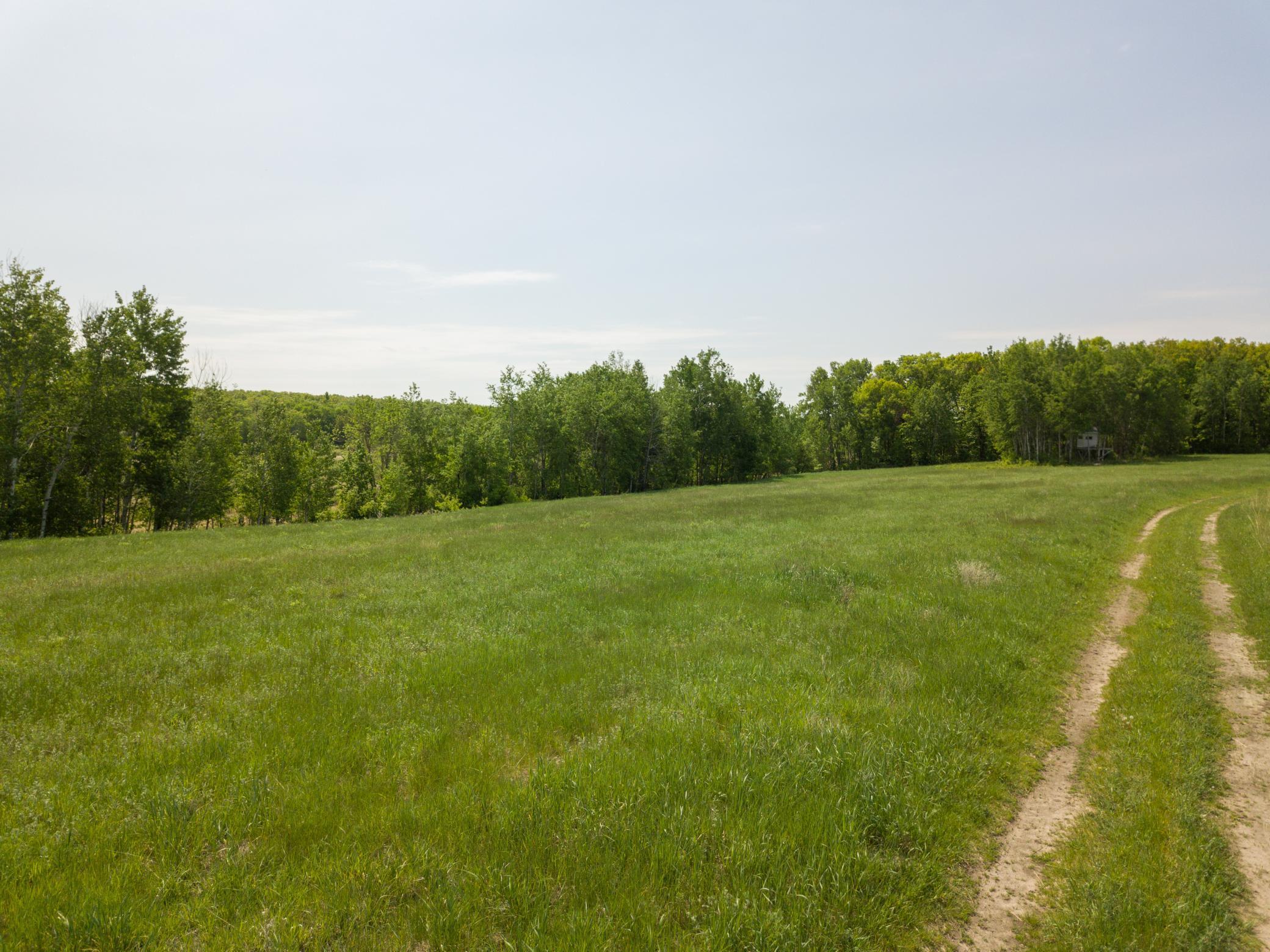 Tbd Highway 210 Property Photo 6