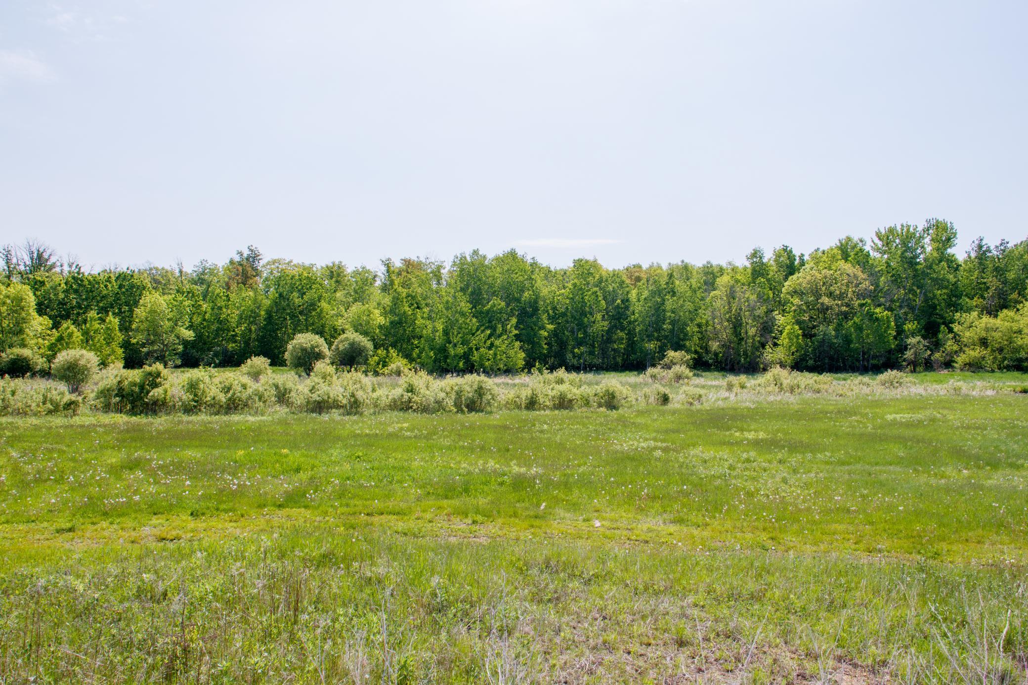 Tbd 225th Avenue Property Photo 14