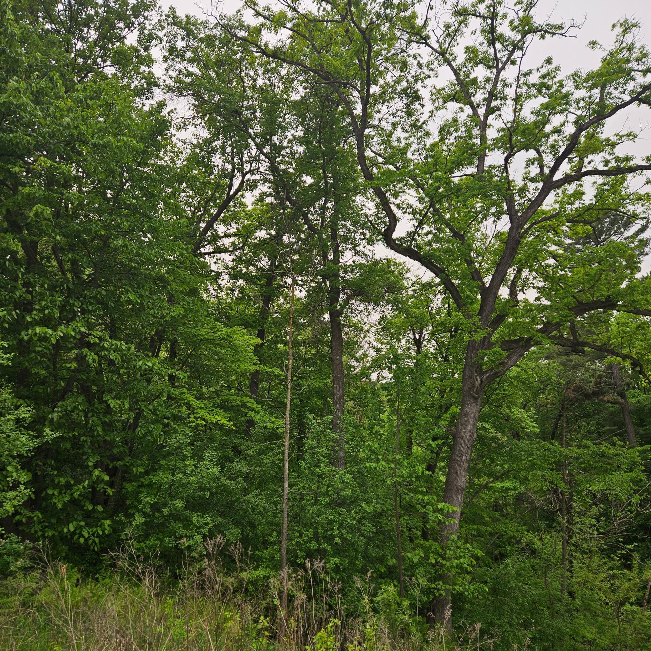 TBD 330th Avenue