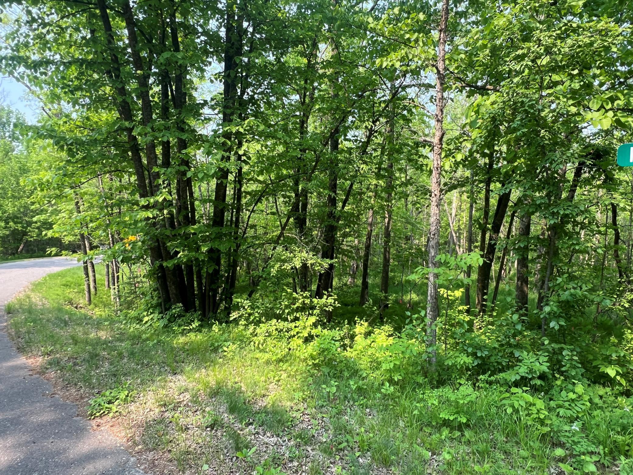 Tbd Dettbarn Rd. Property Photo 3