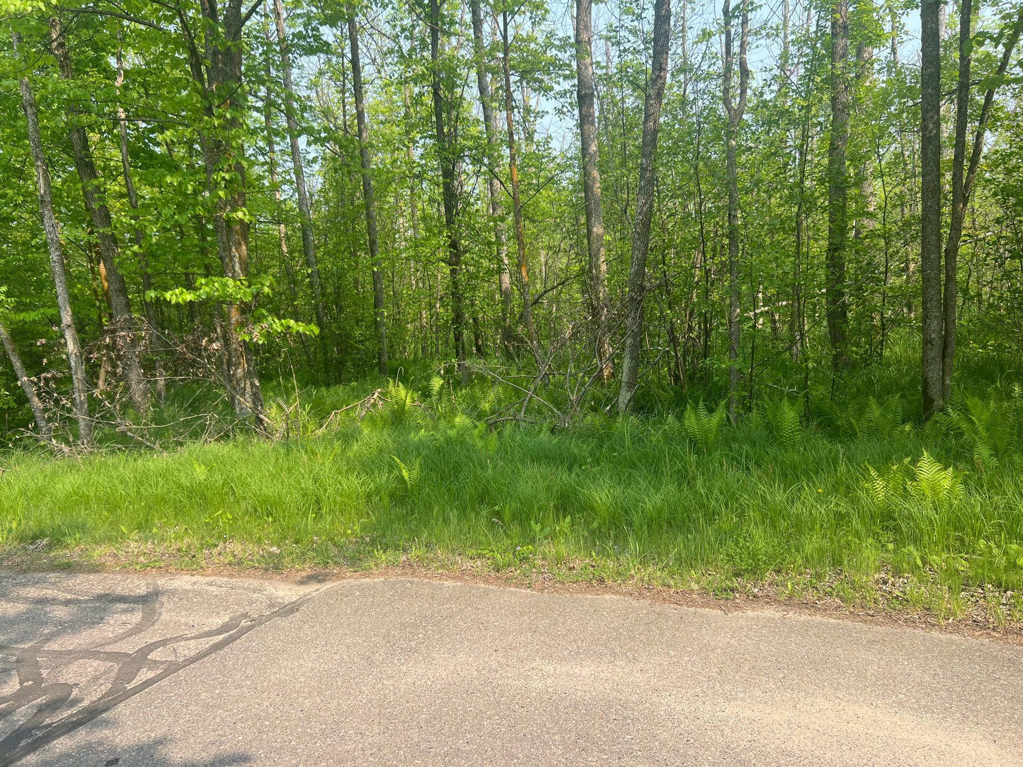 Tbd Dettbarn Rd. Property Photo 7