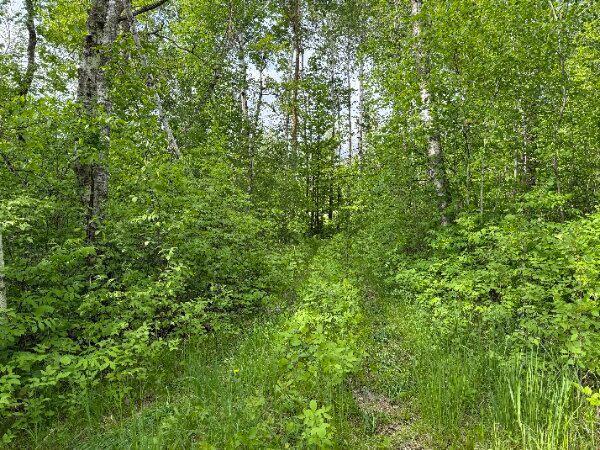 Tbd Co Rd 141 Property Photo 1