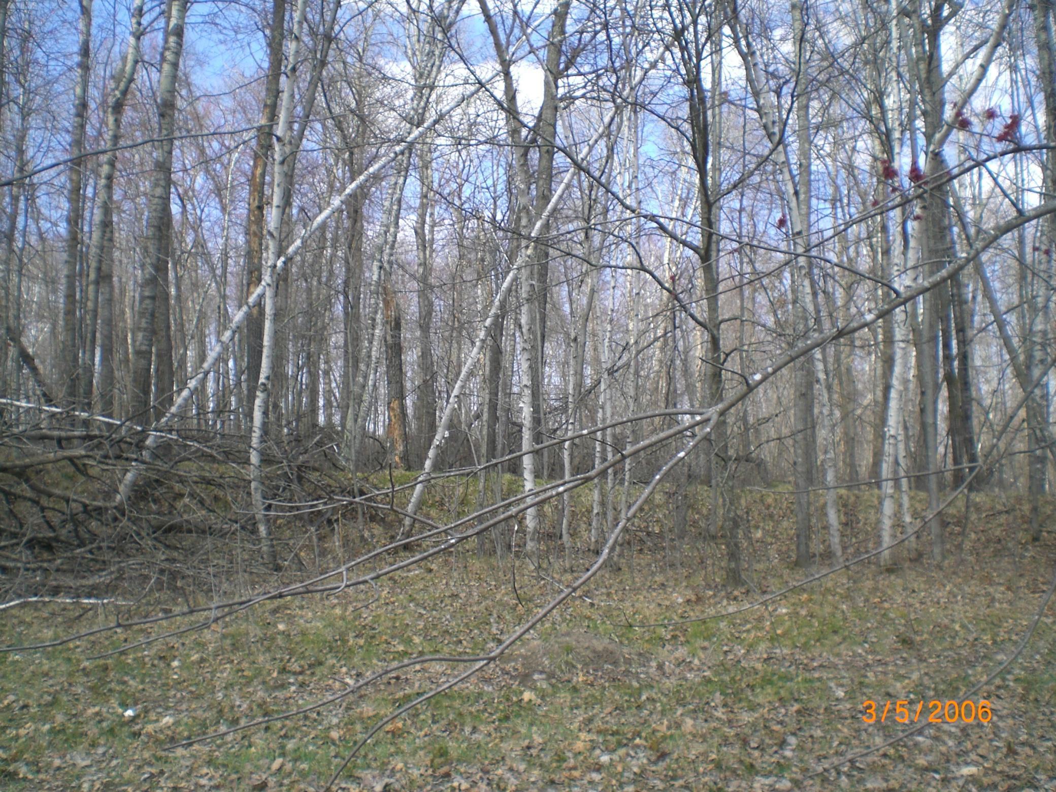 Lot 211 Catskill Circle Property Photo 1