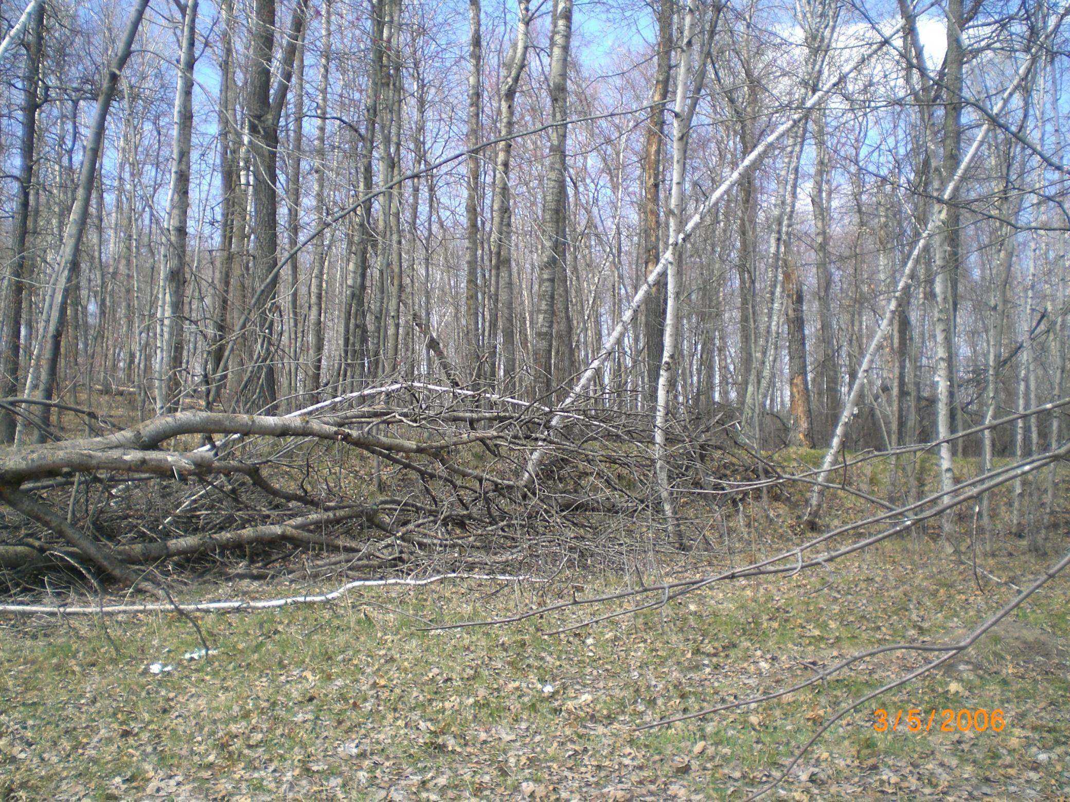 Lot 211 Catskill Circle Property Photo 2