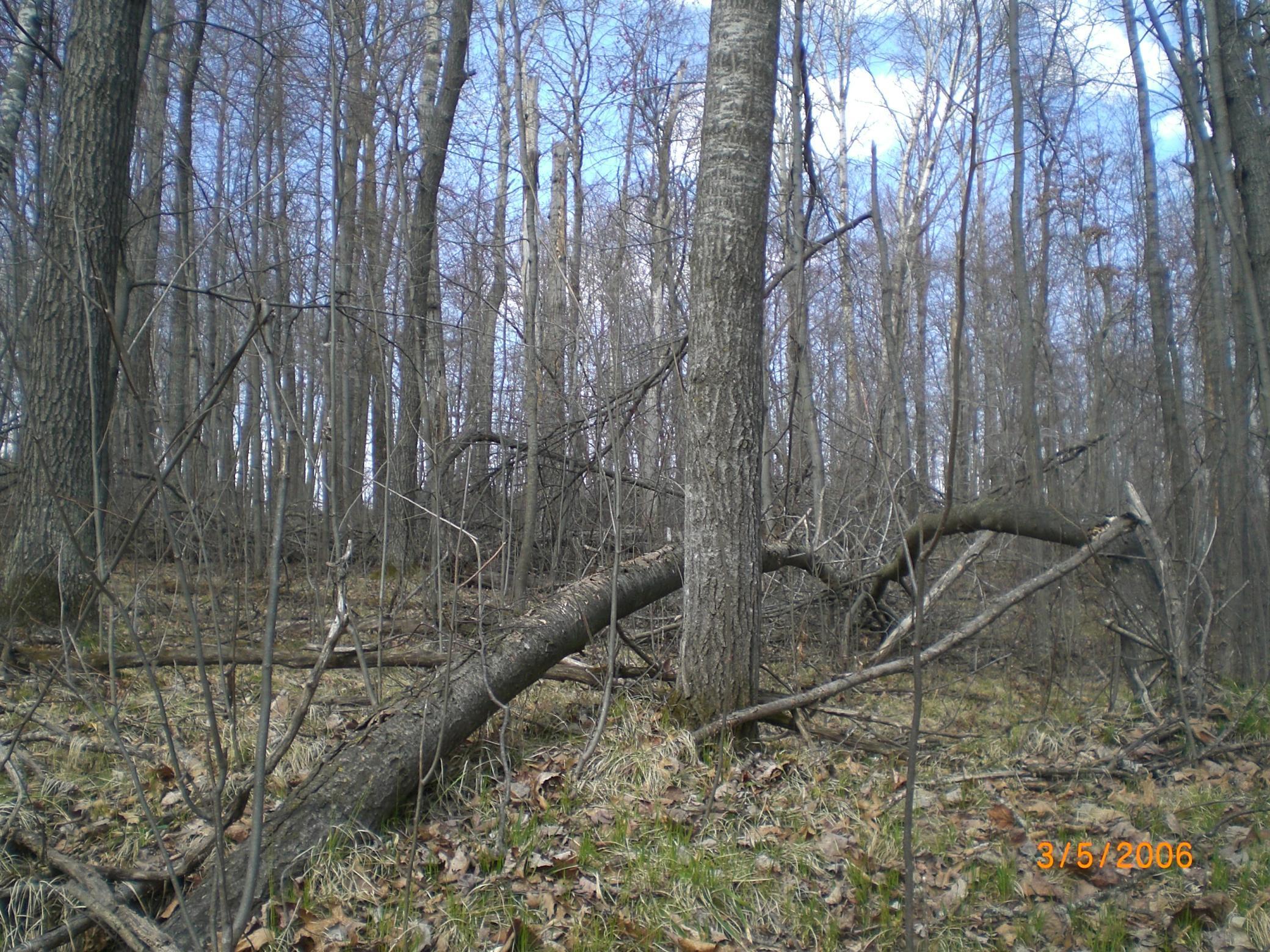 Lot 211 Catskill Circle Property Photo 3