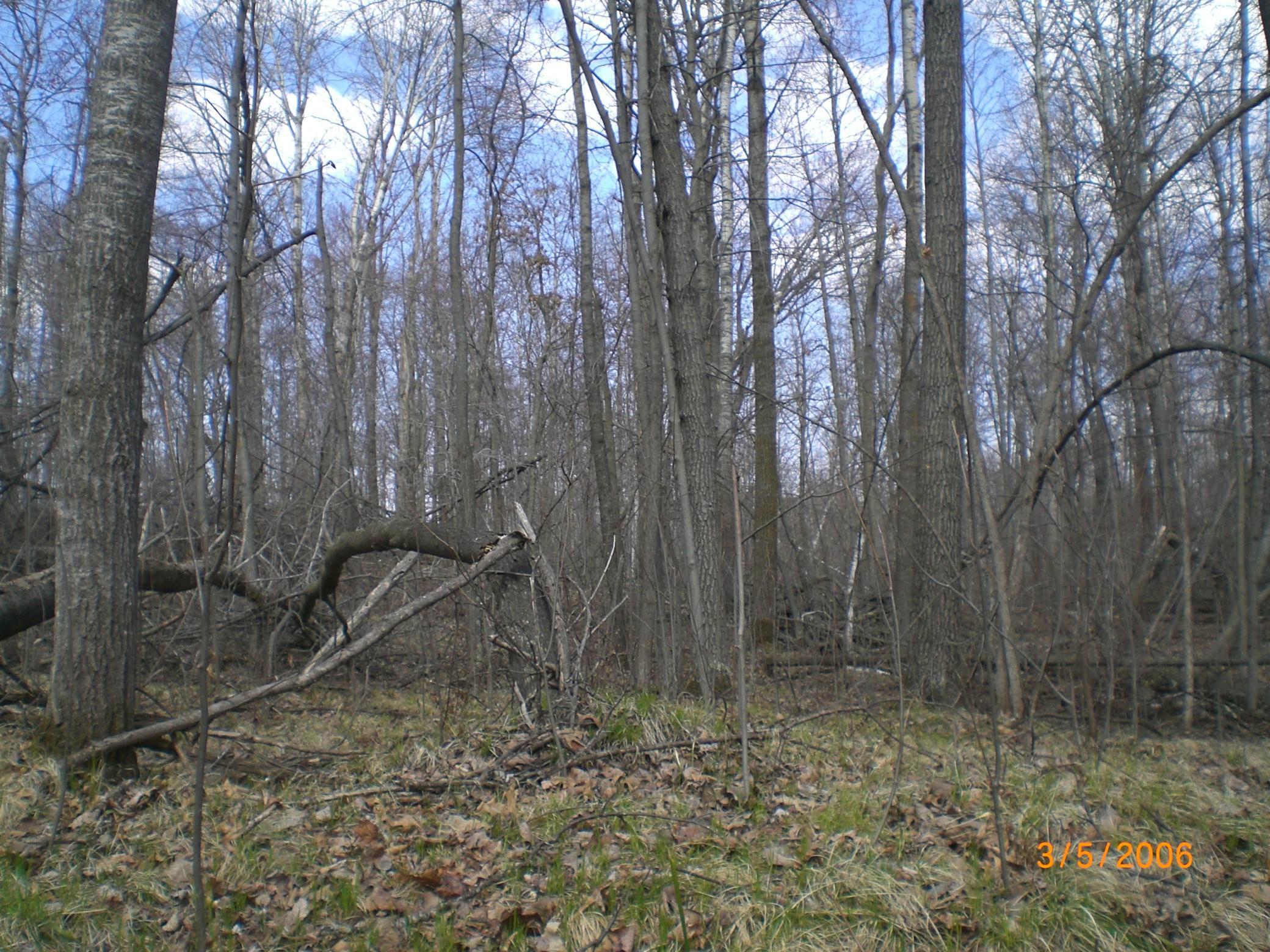 Lot 211 Catskill Circle Property Photo 4