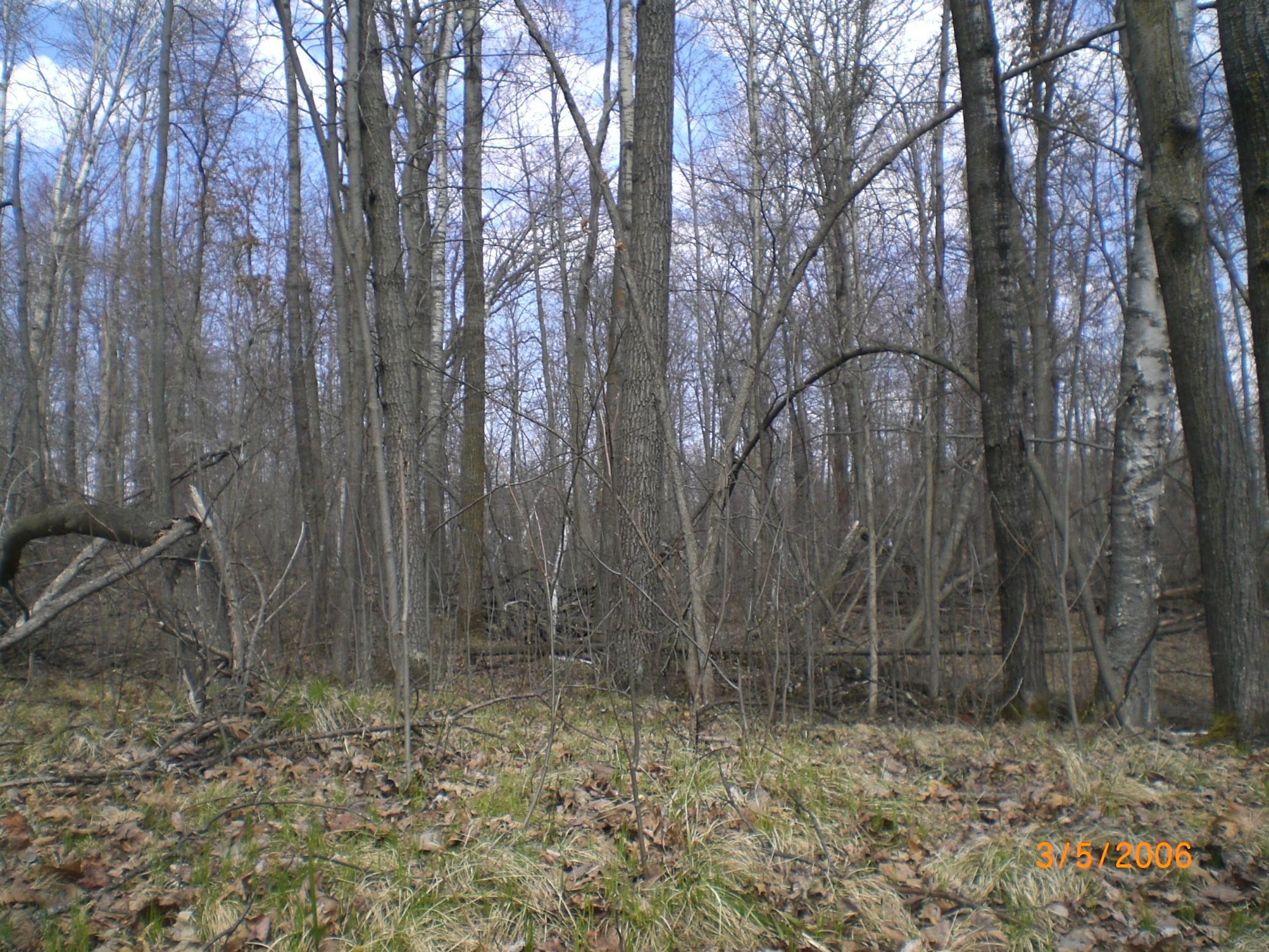 Lot 211 Catskill Circle Property Photo 5