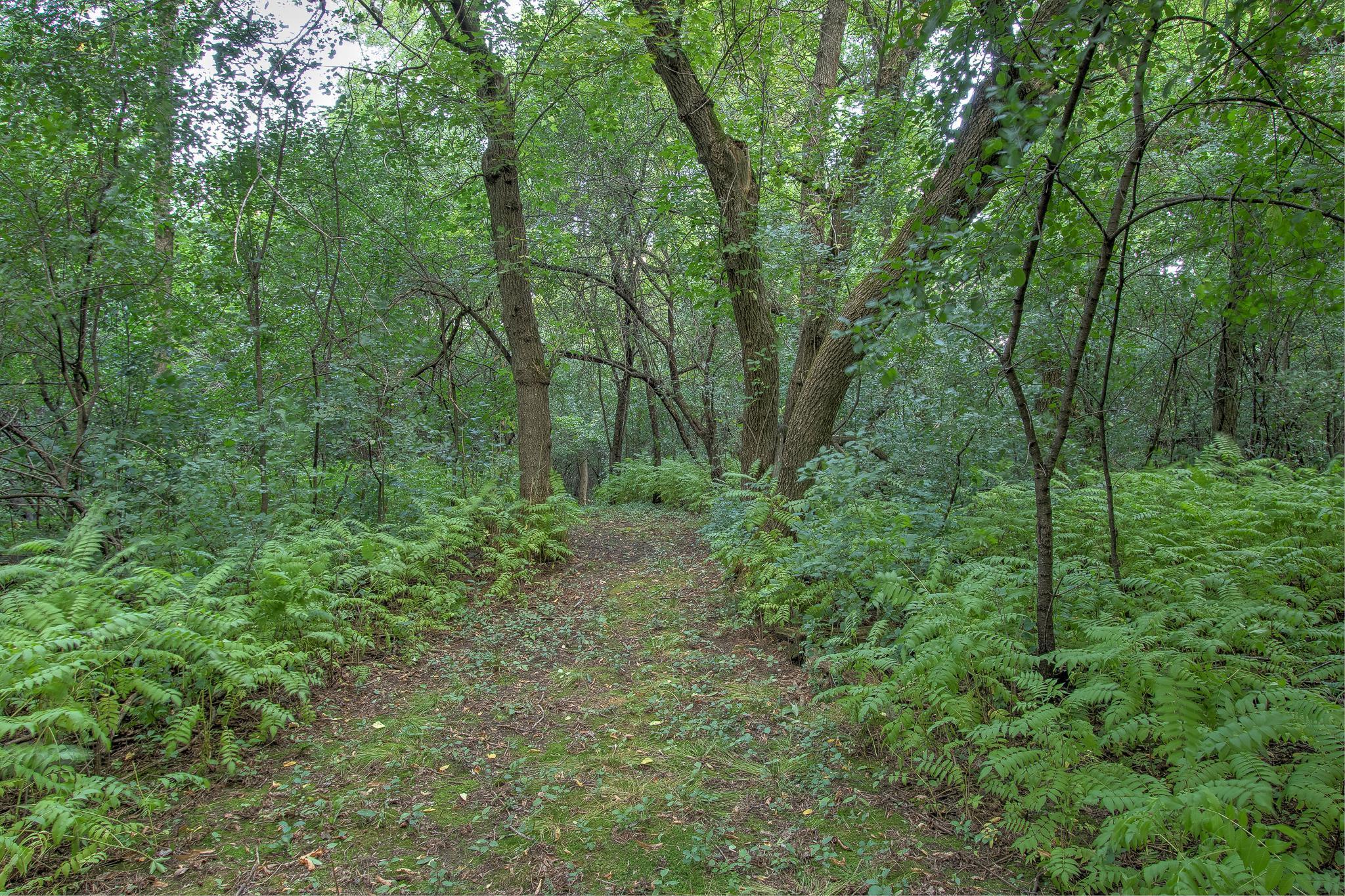43020 Blackhawk Road Property Photo 53