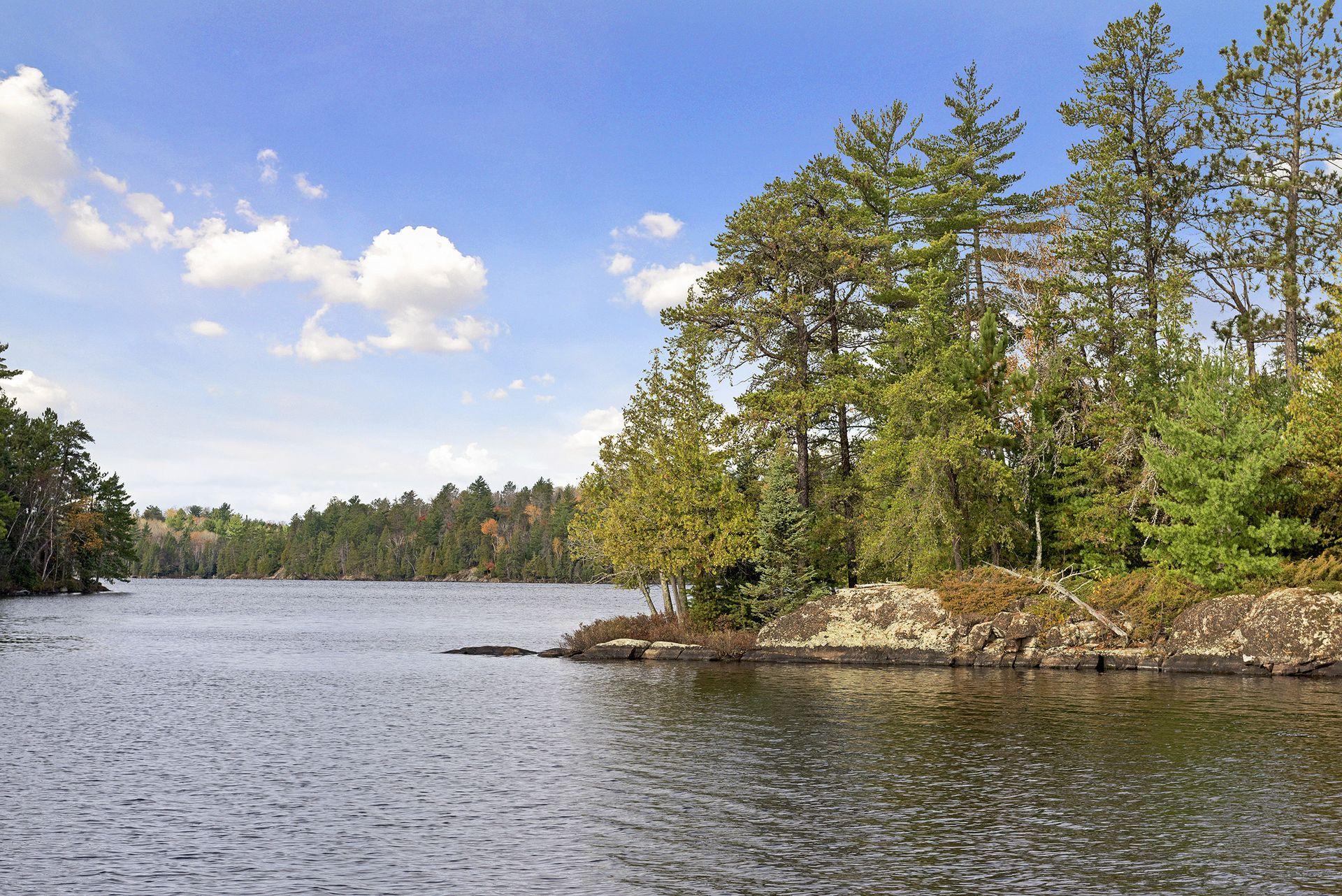 9453 Little Elbow Lake Property Photo 64