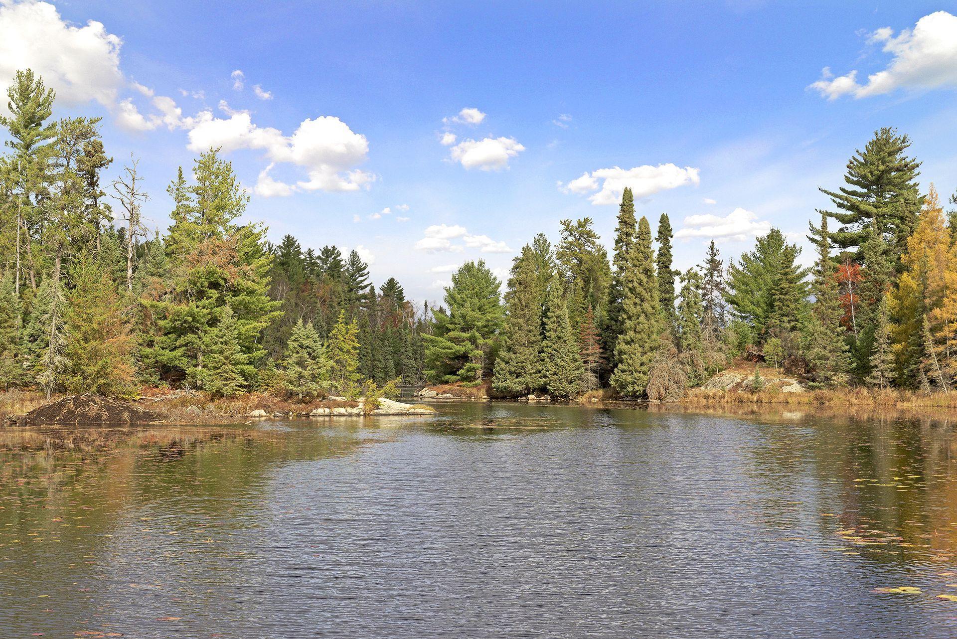 9453 Little Elbow Lake Property Photo 66