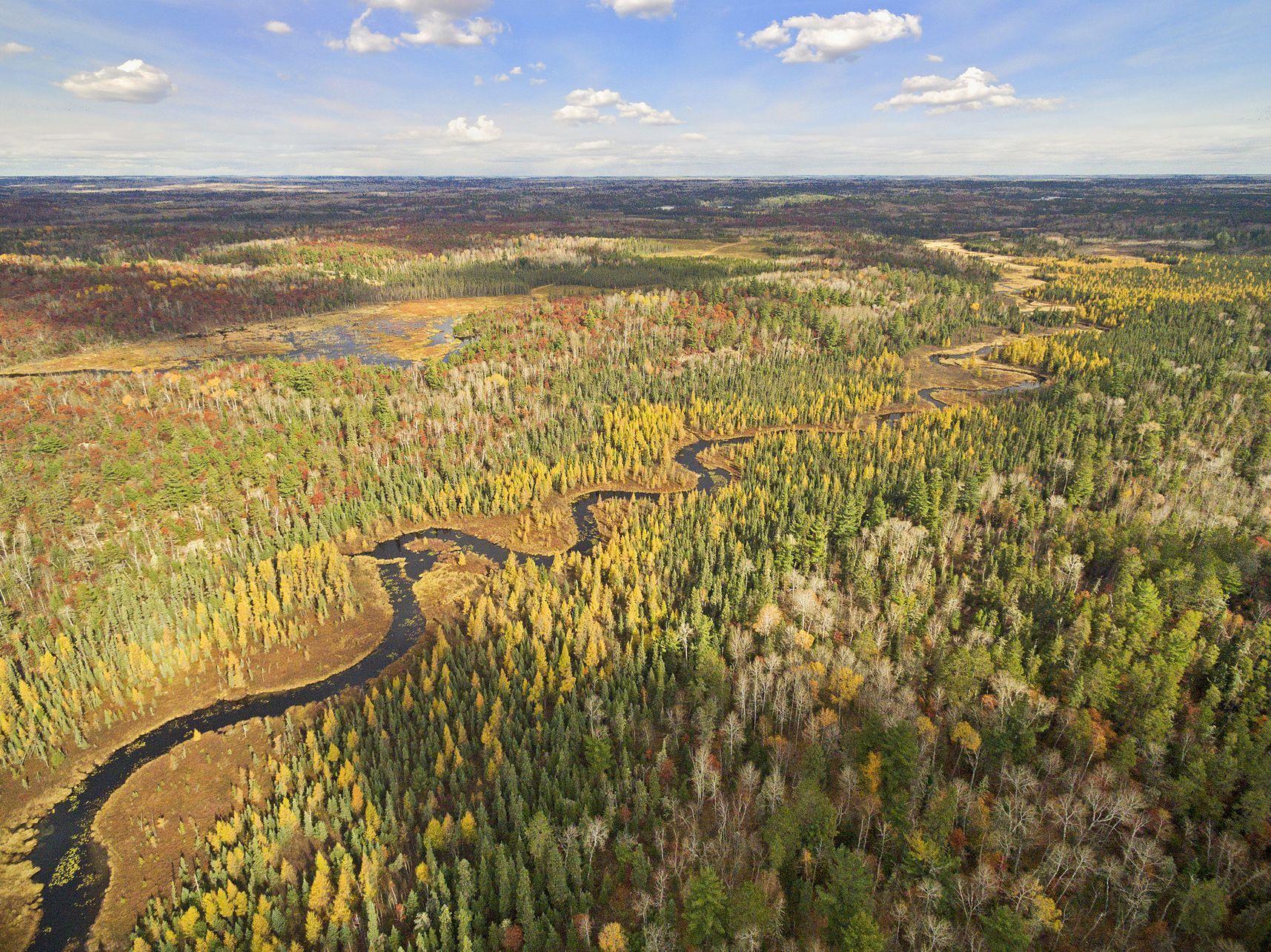 9453 Little Elbow Lake Property Photo 68