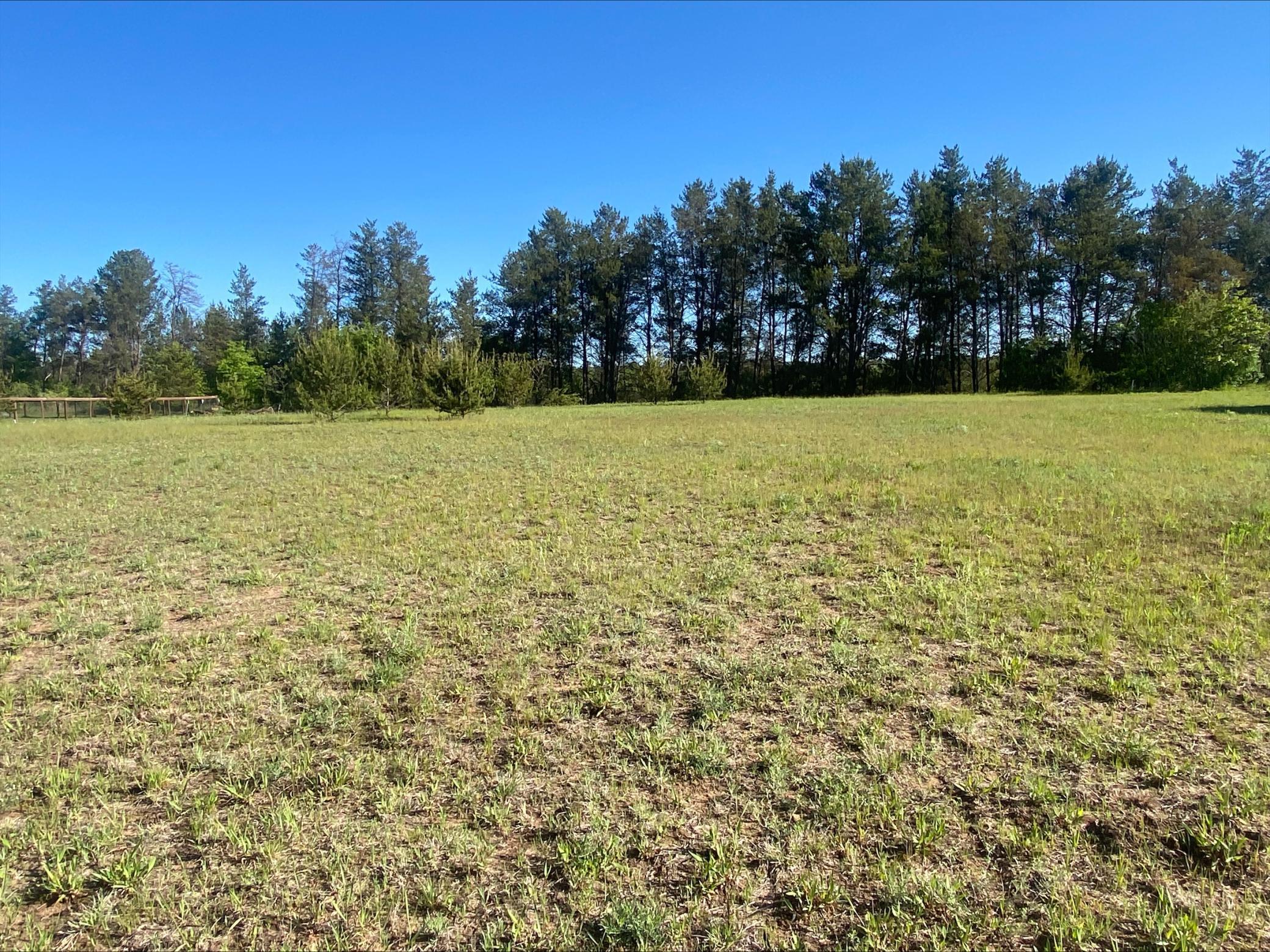 Lot 6 Nelson Road Property Photo 1