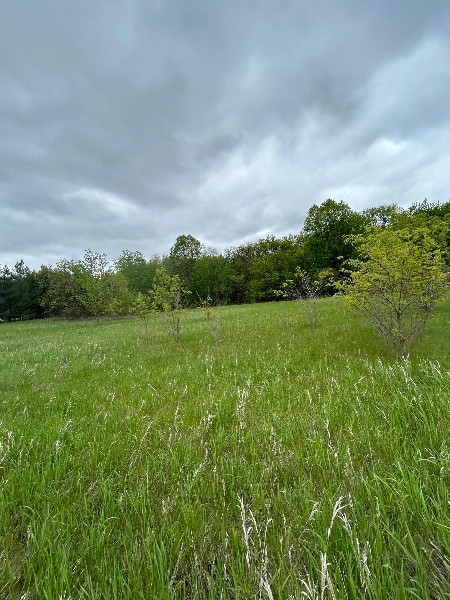 Xxx Calico Trail Property Photo