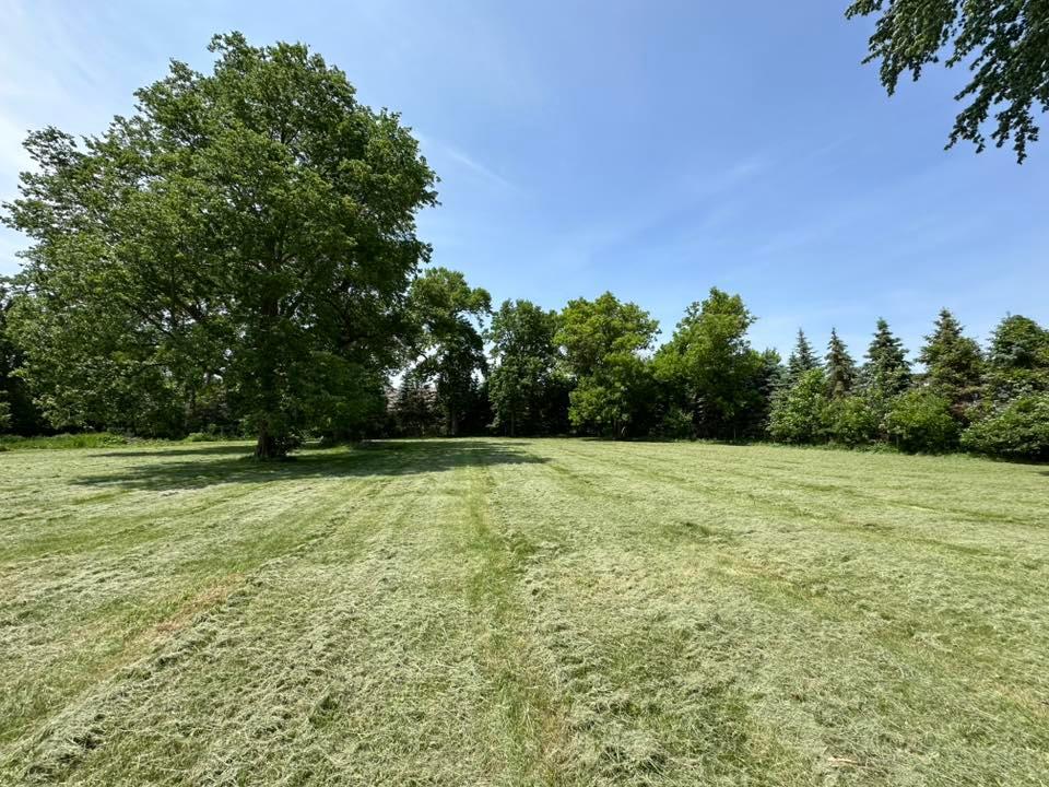29281 Biehn Drive Property Photo 2