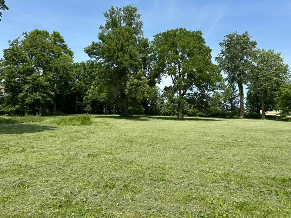 29281 Biehn Drive Property Photo 5