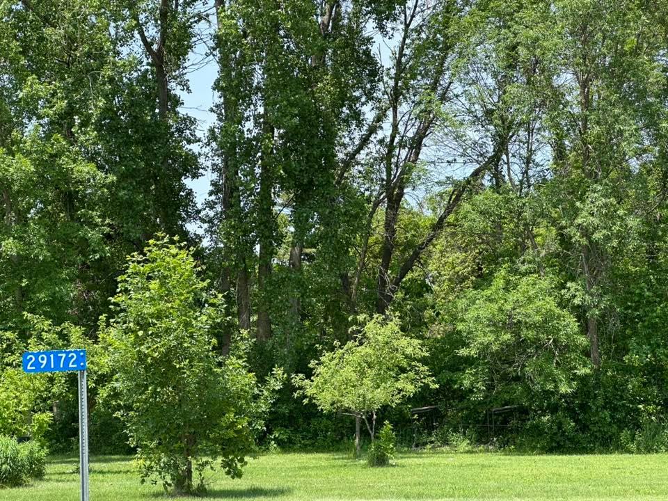 29172 Biehn Drive Property Photo 1