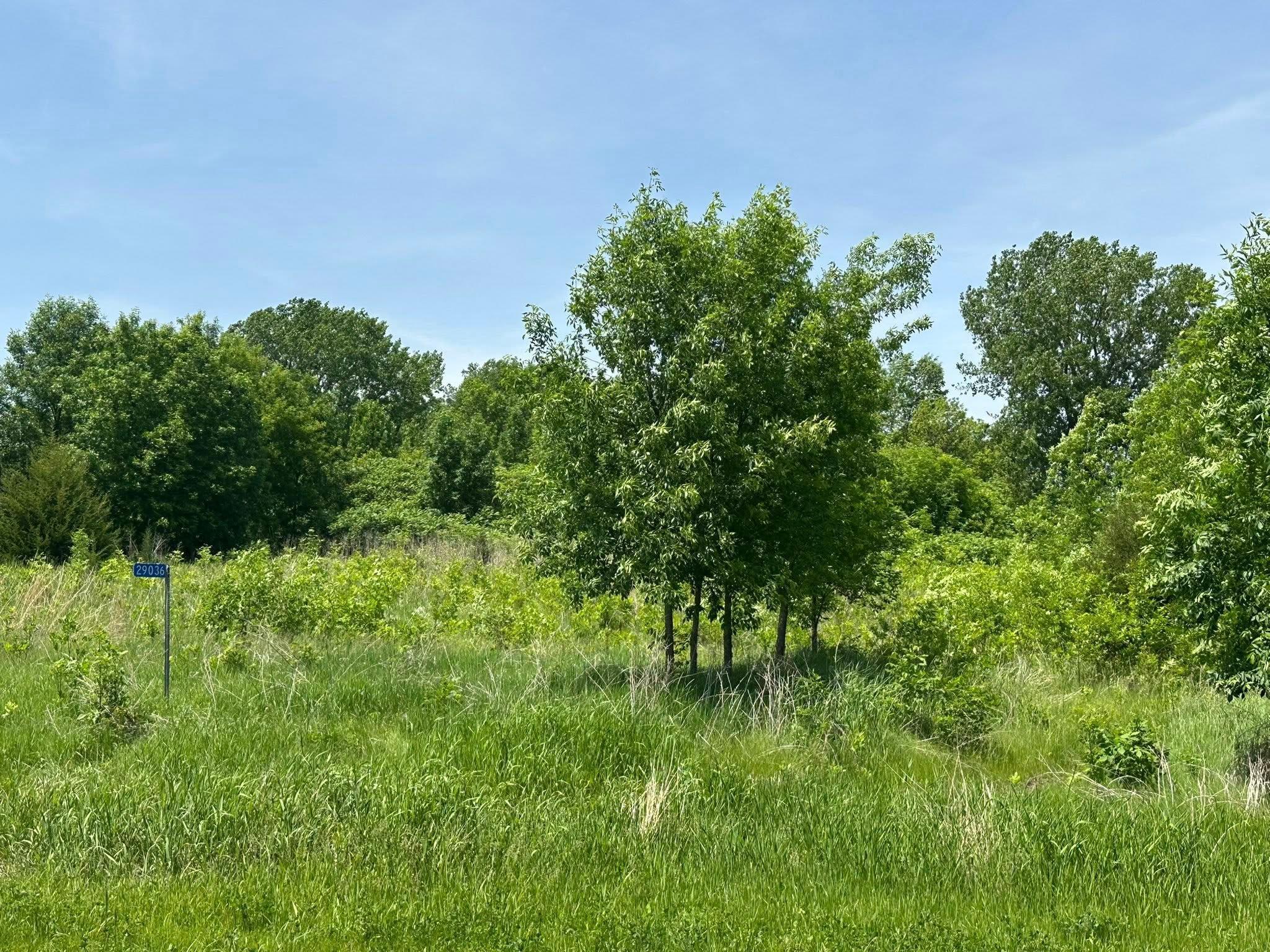 29036 Biehn Drive Property Photo 1