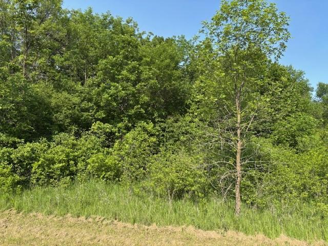 Tbd Severson Property Photo 1