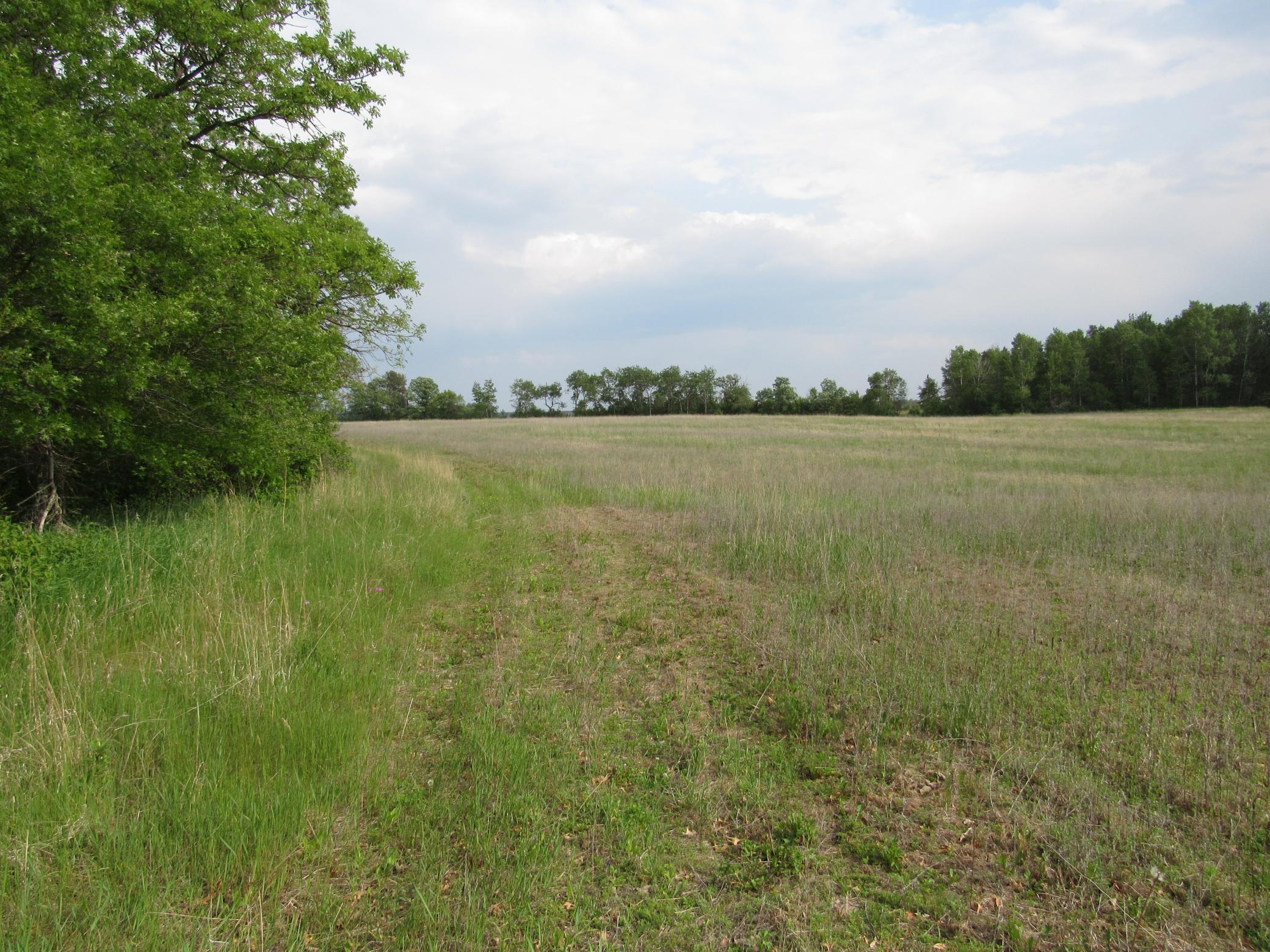 Tbd Parcel 12 32nd Ave Property Photo 1