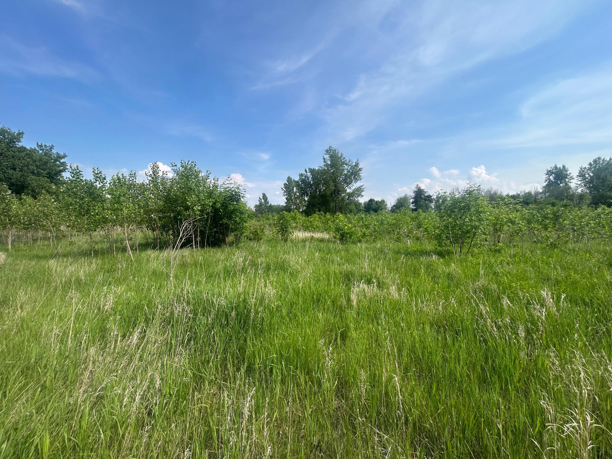 Tbd First Avenue Sw Property Photo 6