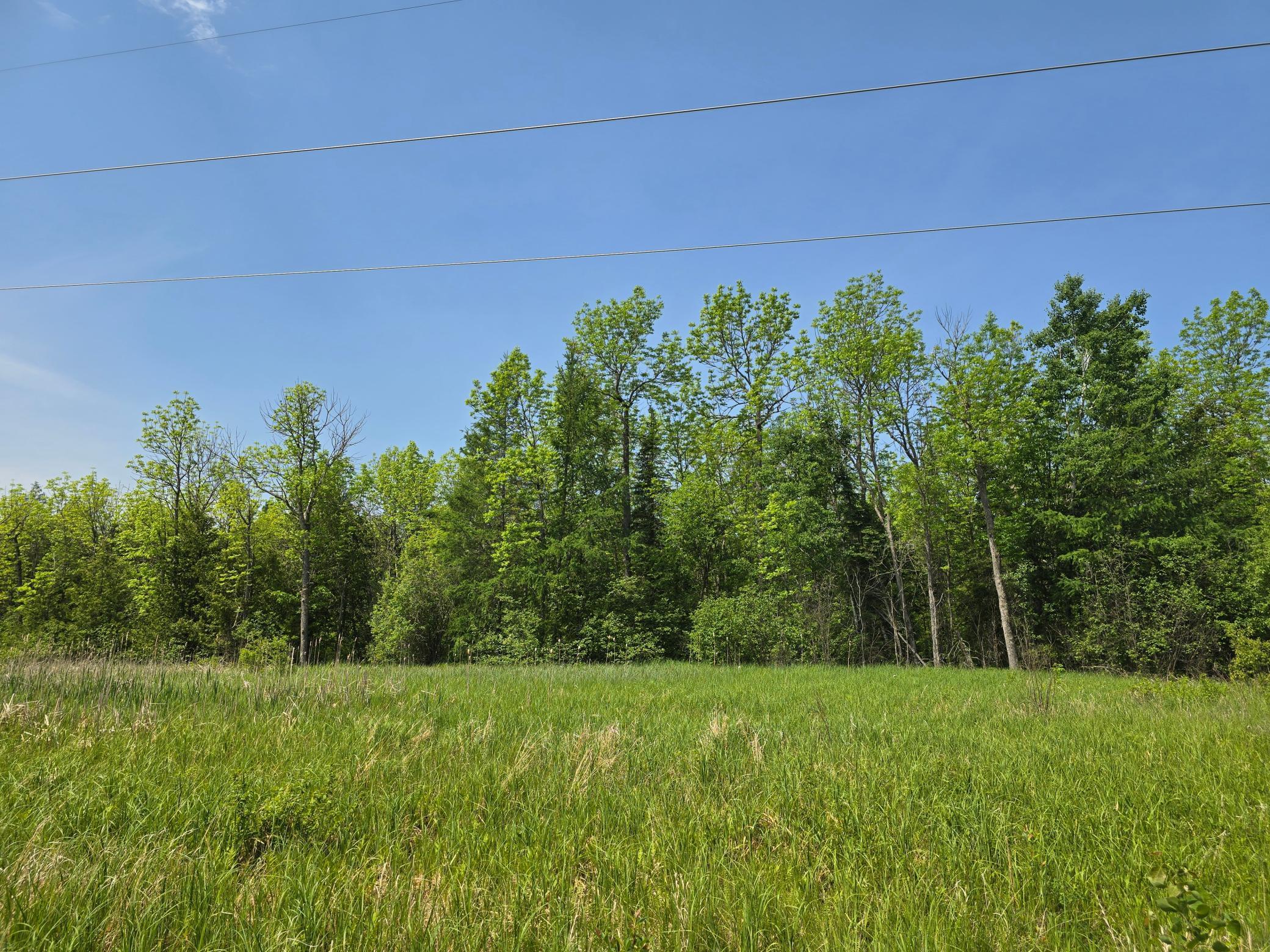Tbd Town Road 166 Property Photo 3