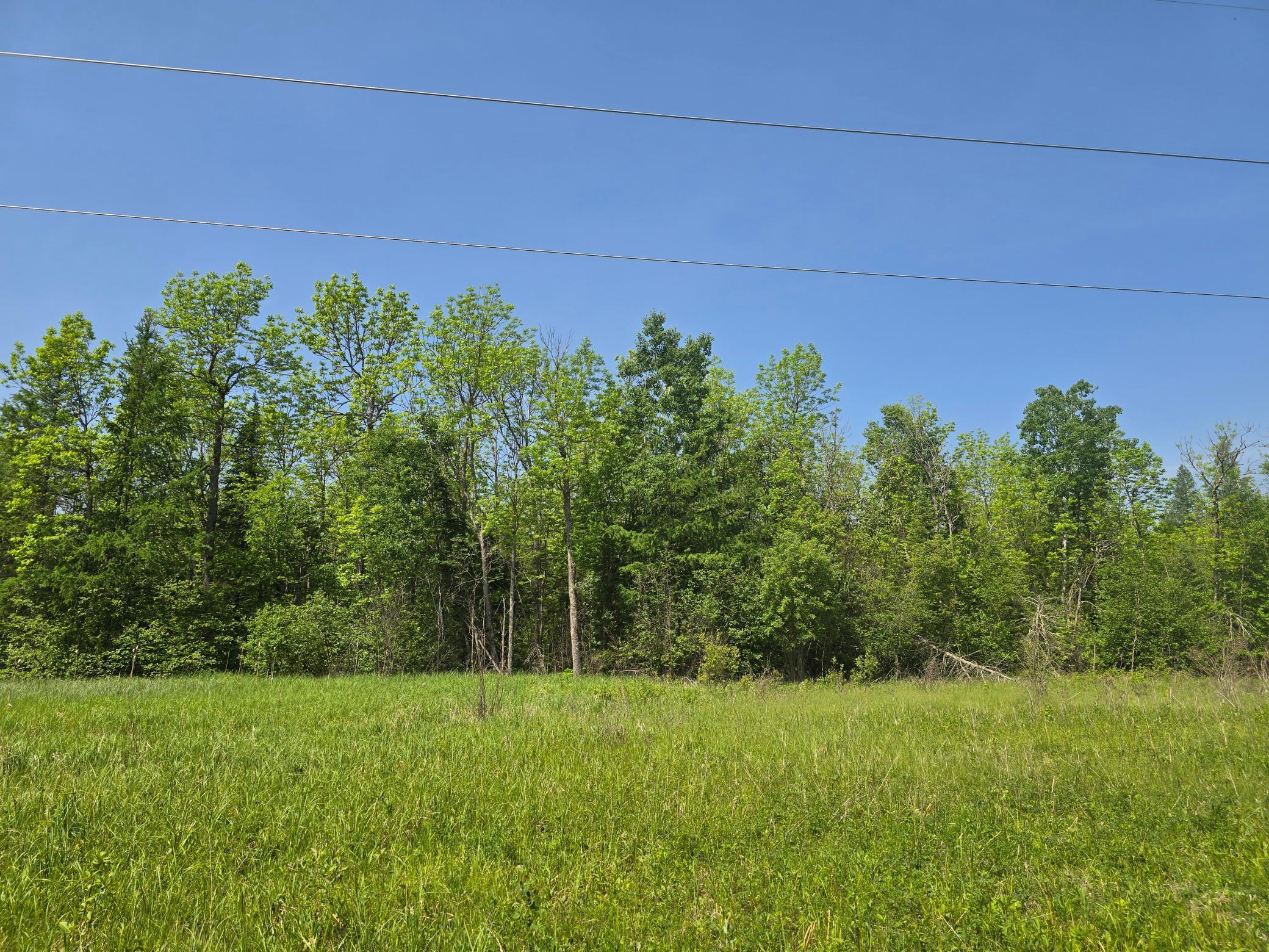 Tbd Town Road 166 Property Photo 5
