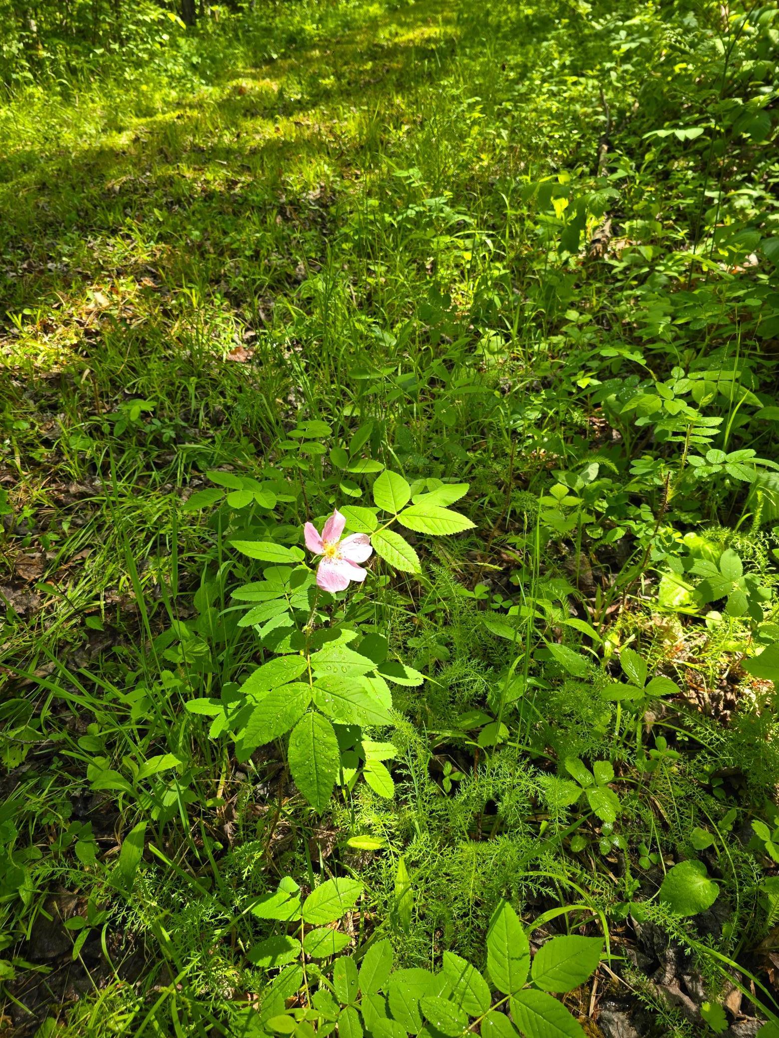 Tbd Town Road 166 Property Photo 7