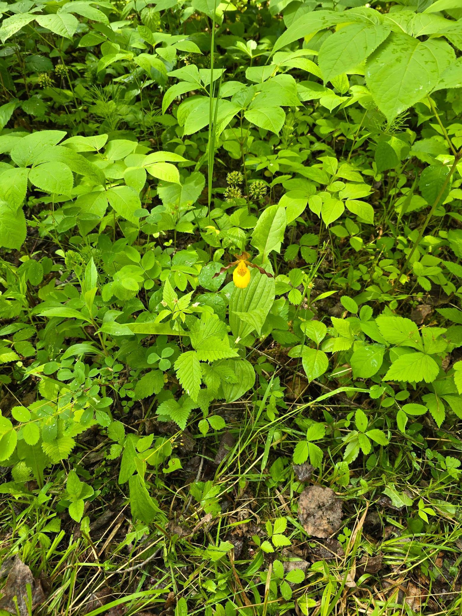 Tbd Town Road 166 Property Photo 8